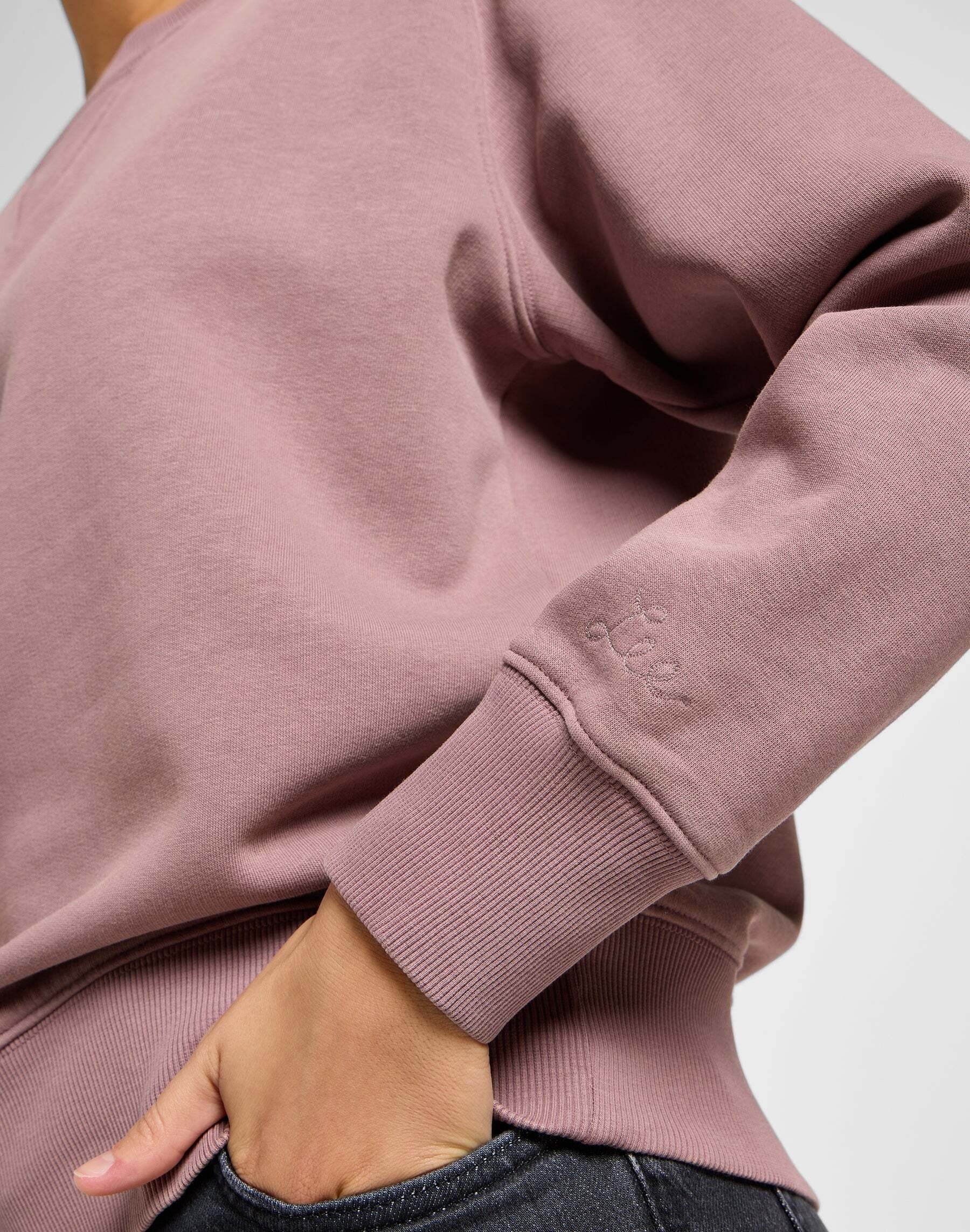 Lee® Sweatshirt »LEE Pullover Raglan Crew Sweater«