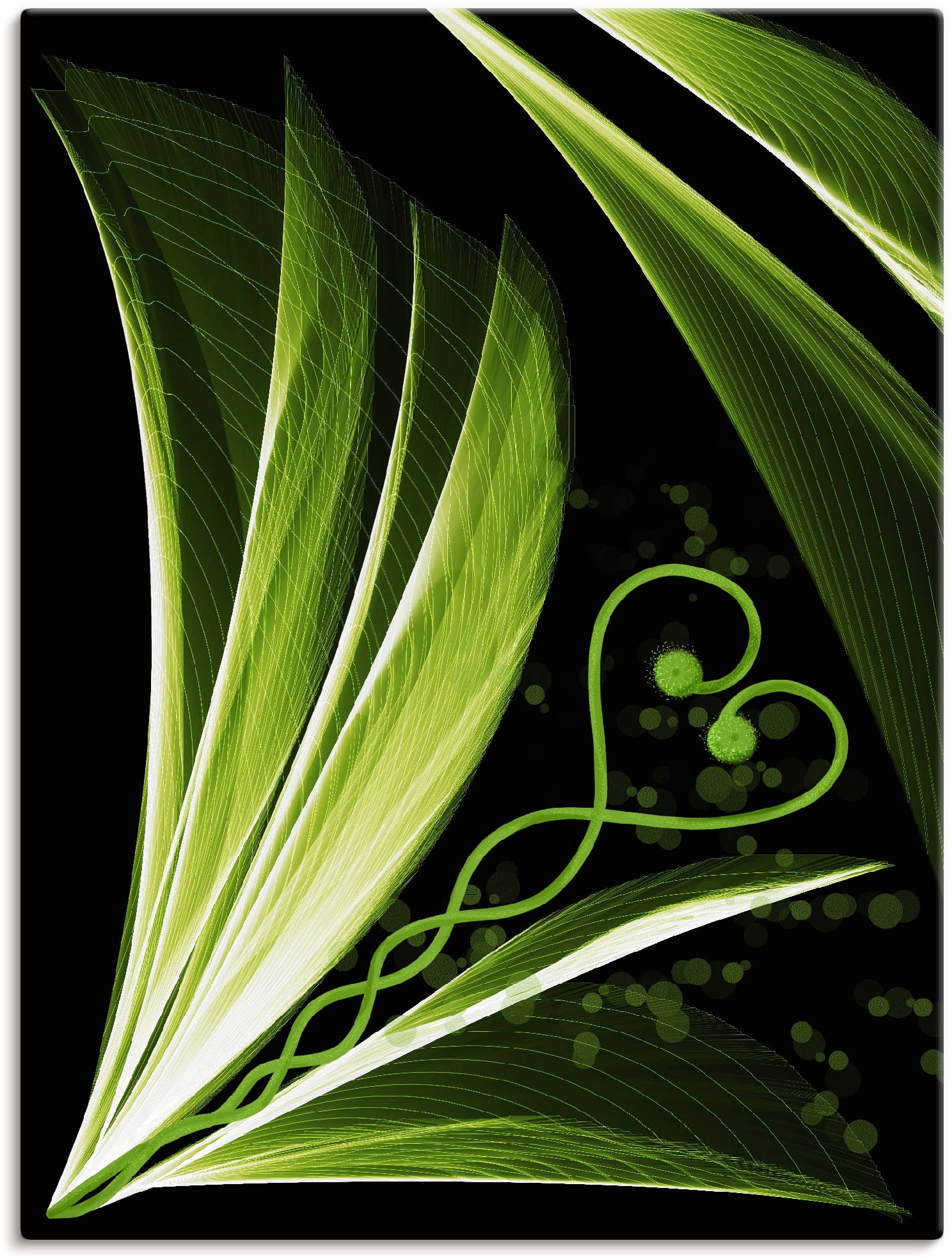 Image of Artland Wandbild »Grünes Herzblatt dekorativ«, Spa Bilder, (1 St.), in vielen Grössen & Produktarten - Alubild / Outdoorbild für den Aussenbereich, Leinwandbild, Poster, Wandaufkleber / Wandtattoo auch für Badezimmer geeignet bei Ackermann Versand Schweiz