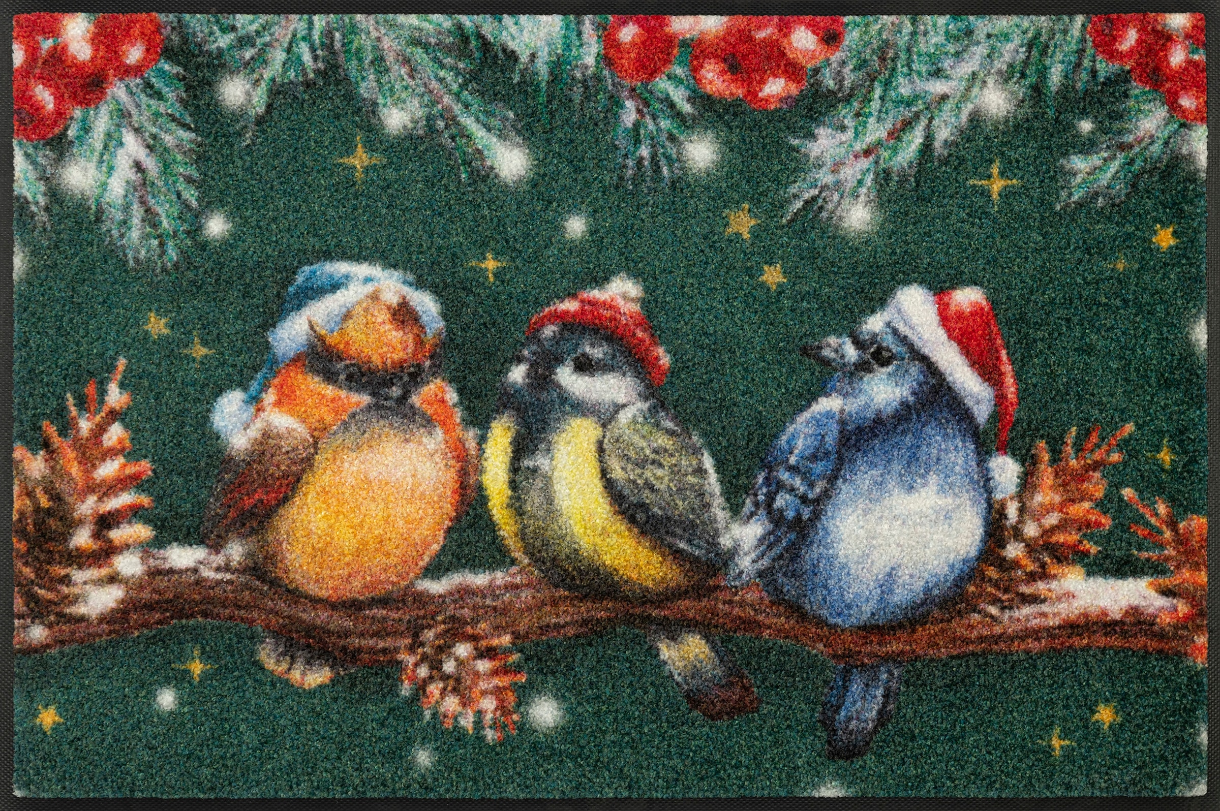 wash+dry by Kleen-Tex Fussmatte »Magic Birds«, rechteckig, 7 mm Höhe