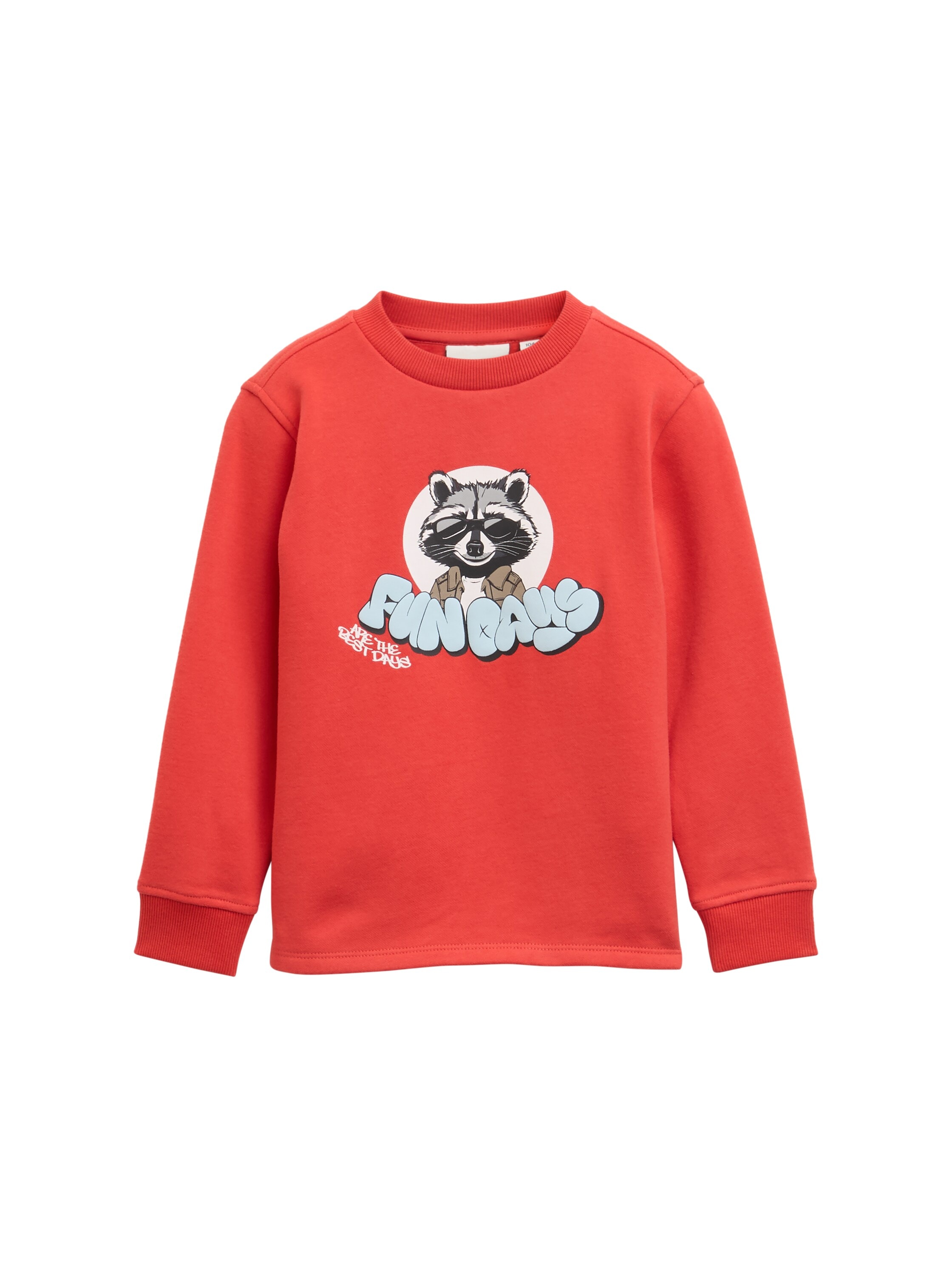 Image of TOM TAILOR Sweater, mit Print