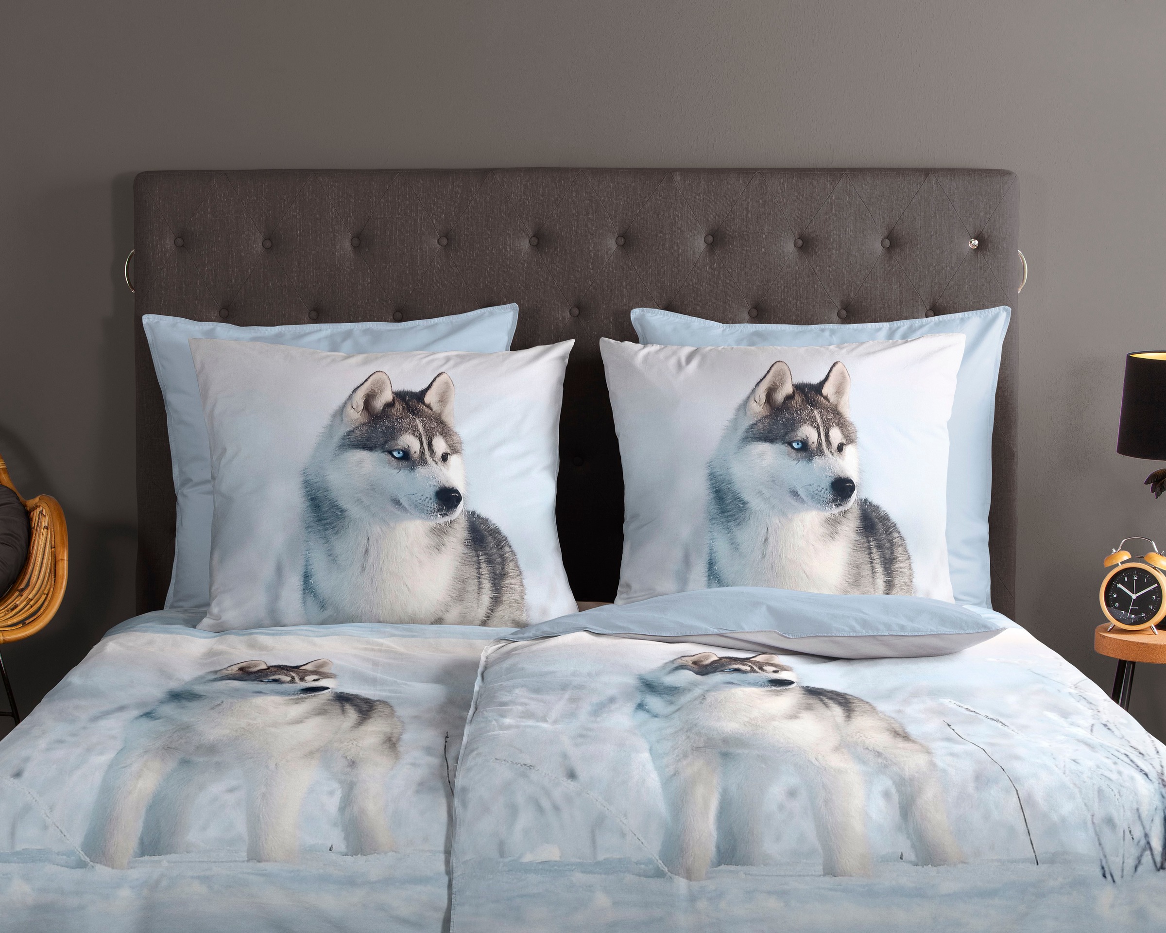 good morning Wendebettwäsche »Sachar«, Baumwolle, 135x200, Reissverschluss, Wendeoptik, Winter, Husky, Blau