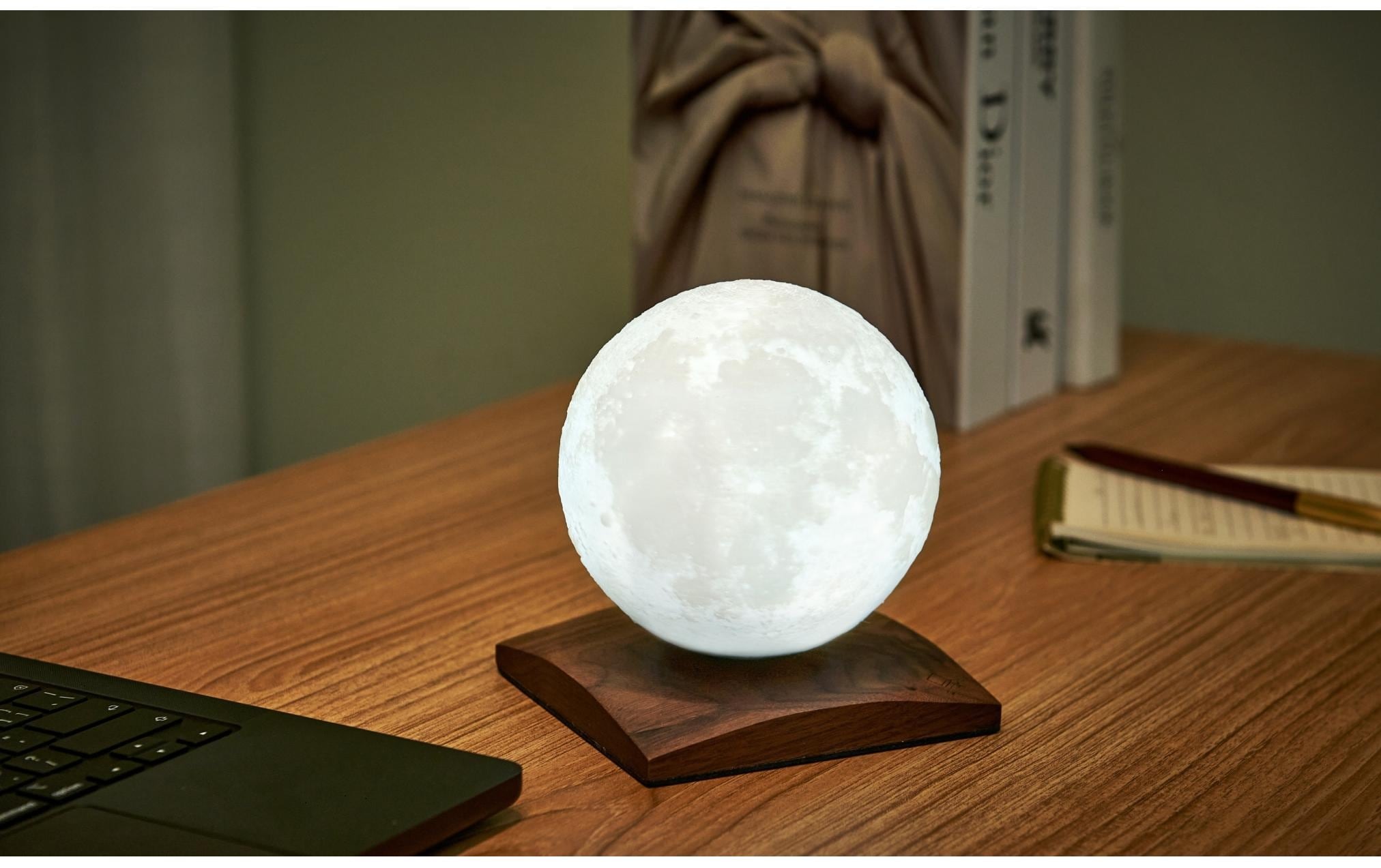 LED Dekofigur »Gingko LED LunaSpin Mini«