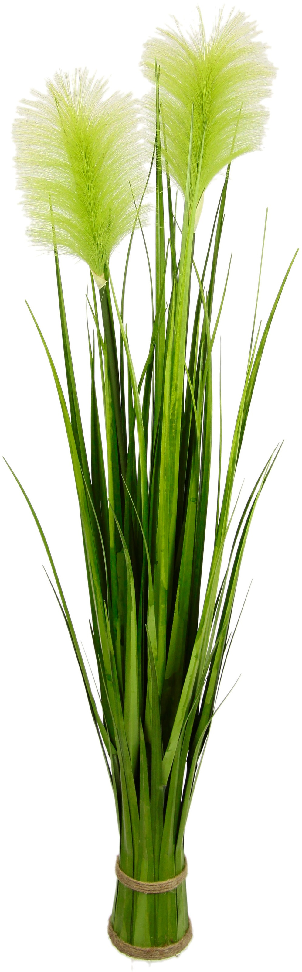 Image of Home affaire Kunstpflanze »Stretton«, Gras bei Ackermann Versand Schweiz