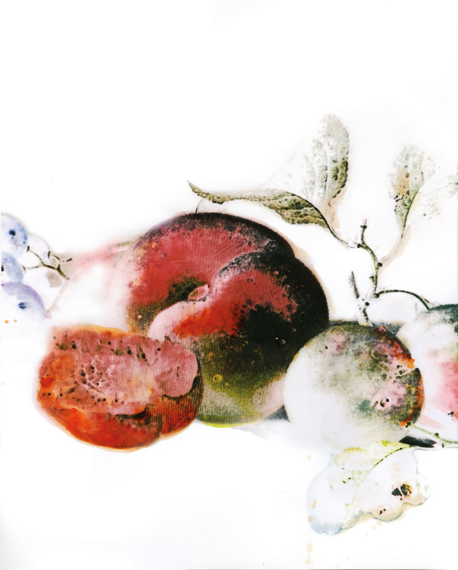 Komar Wandbild »Dessert Fruité«, (1 St.), Deutsches Premium-Poster Fotopapier mit seidenmatter Oberfläche und hoher Lichtbeständigkeit. Für fotorealistische Drucke mit gestochen scharfen Details und hervorragender Farbbrillanz.