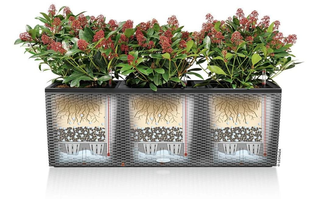   Bac à fleurs »Lechuza TRIO Cottage 30«