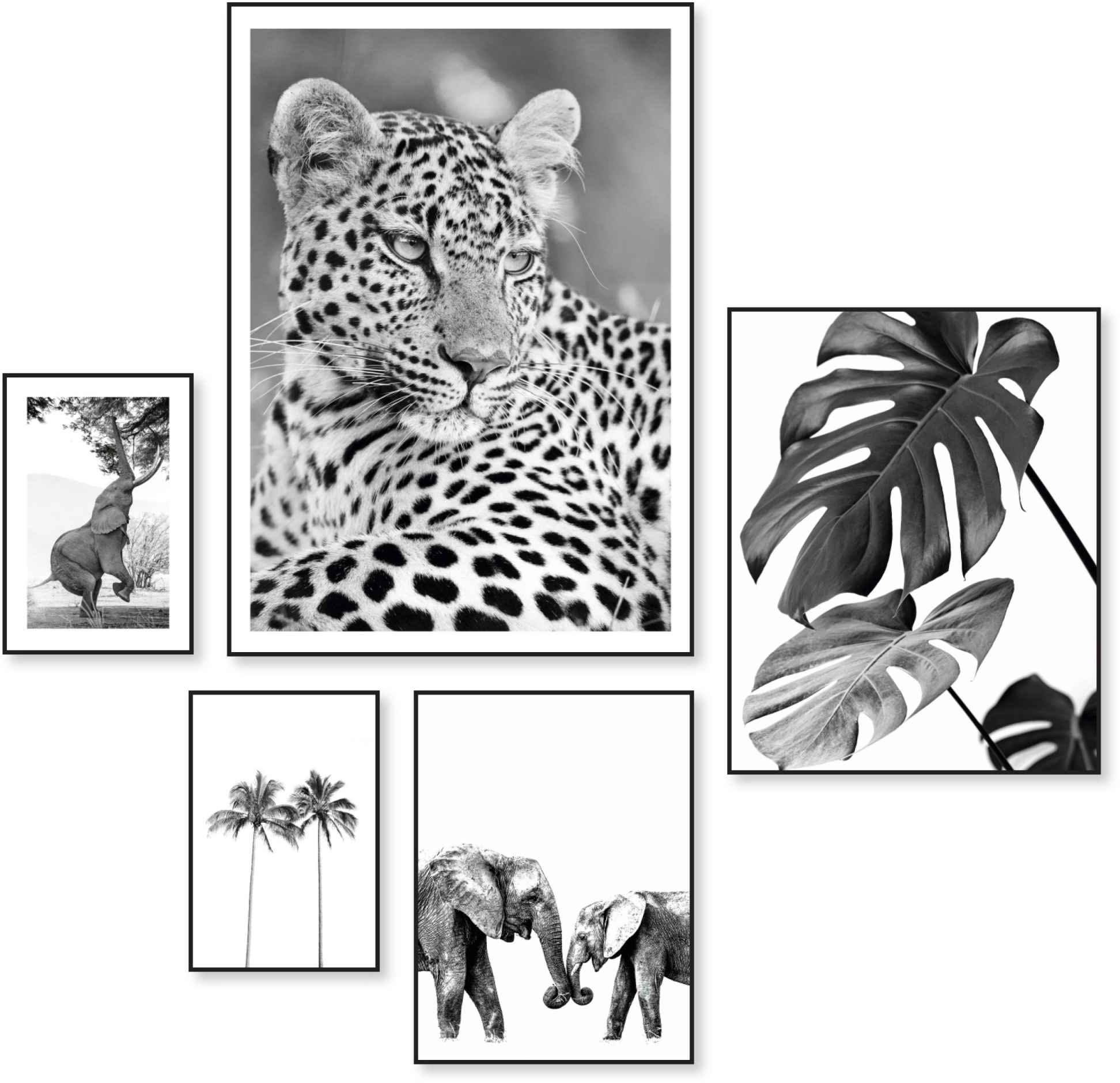 Image of Reinders! Wandbild »Wildtiere Afrika - Botanisch - Natur - Monstera«, (5 St.) bei Ackermann Versand Schweiz