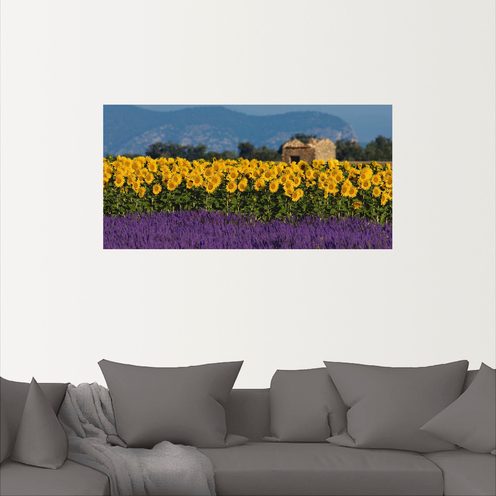 Artland Wandbild »Lavendel Sonnenblumen in der Provence«, Blumenwiese, (1 St.), als Alubild, Leinwandbild, Wandaufkleber oder Poster in versch. Grössen