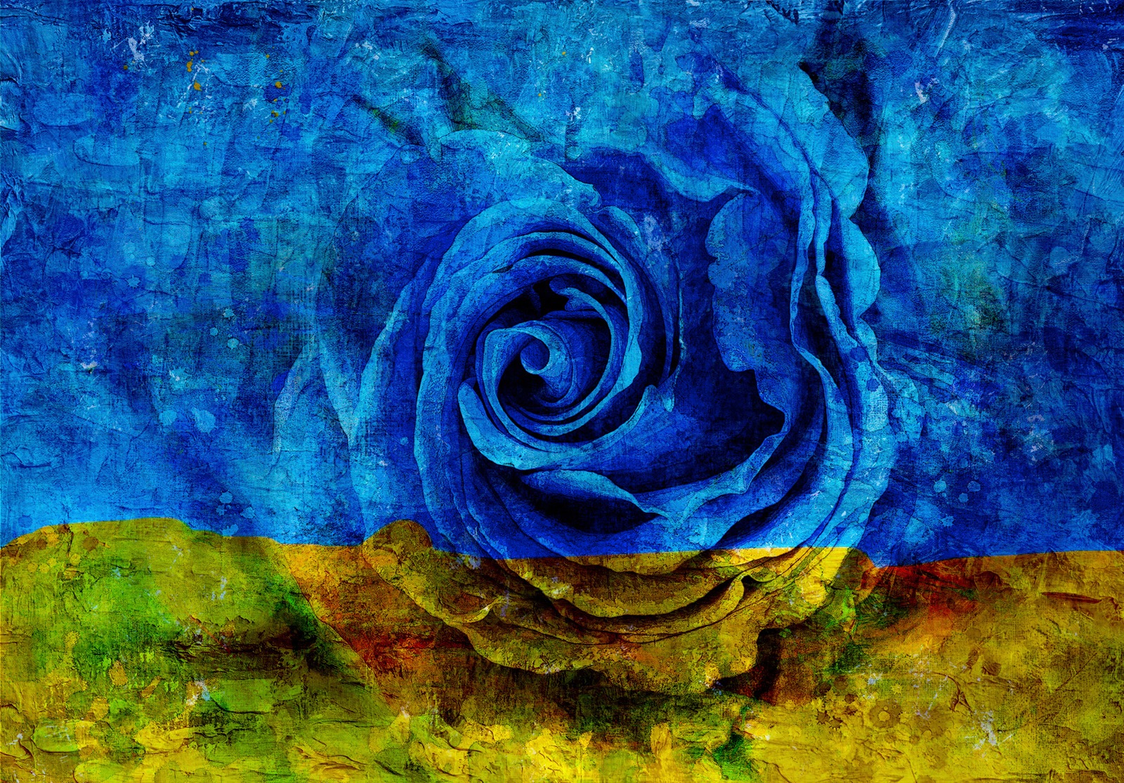 Image of Consalnet Papiertapete »Blau-Gelbe Rose«, floral bei Ackermann Versand Schweiz