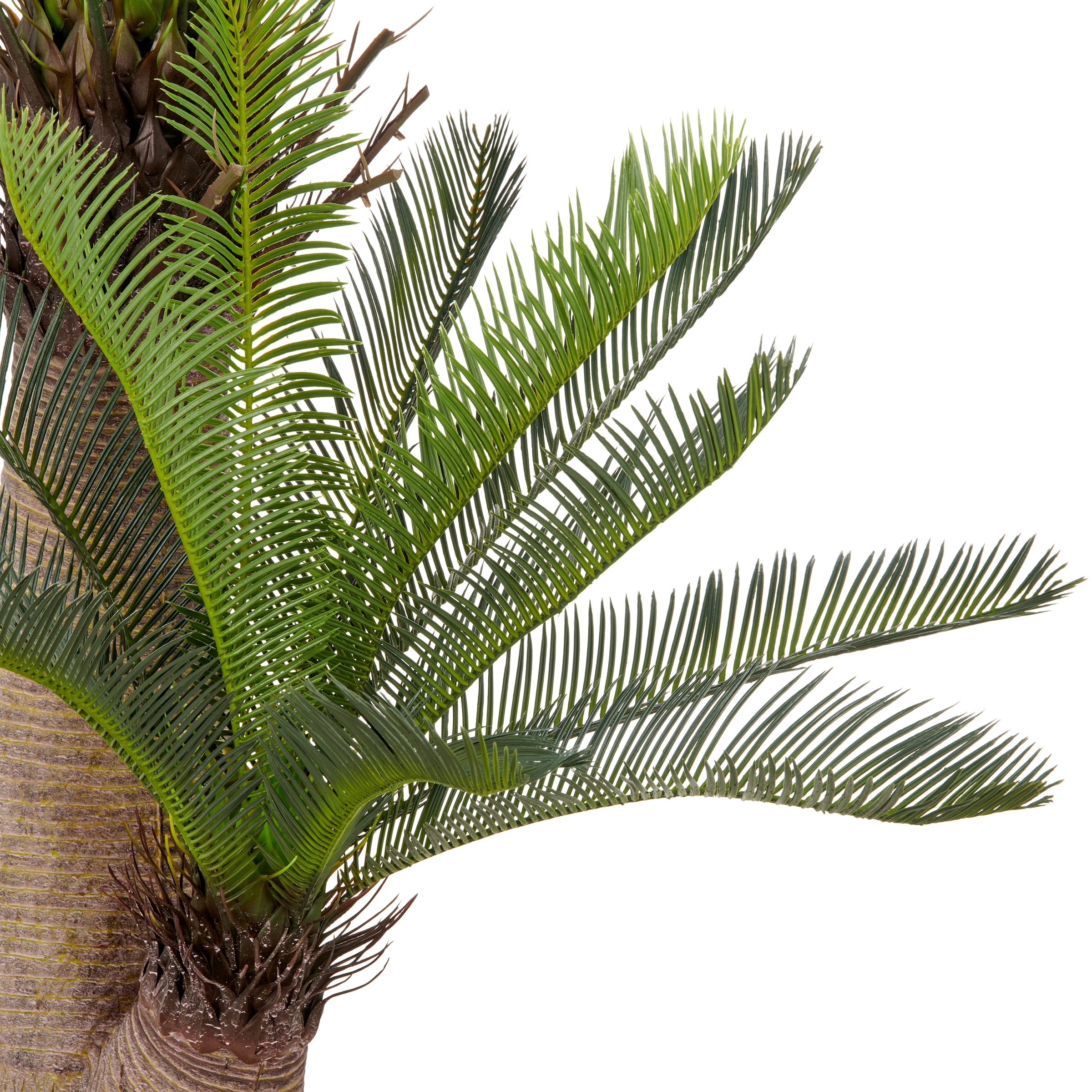 Creativ green Kunstpalme »Cycaspalme« mit detailgetreuer Gestaltung