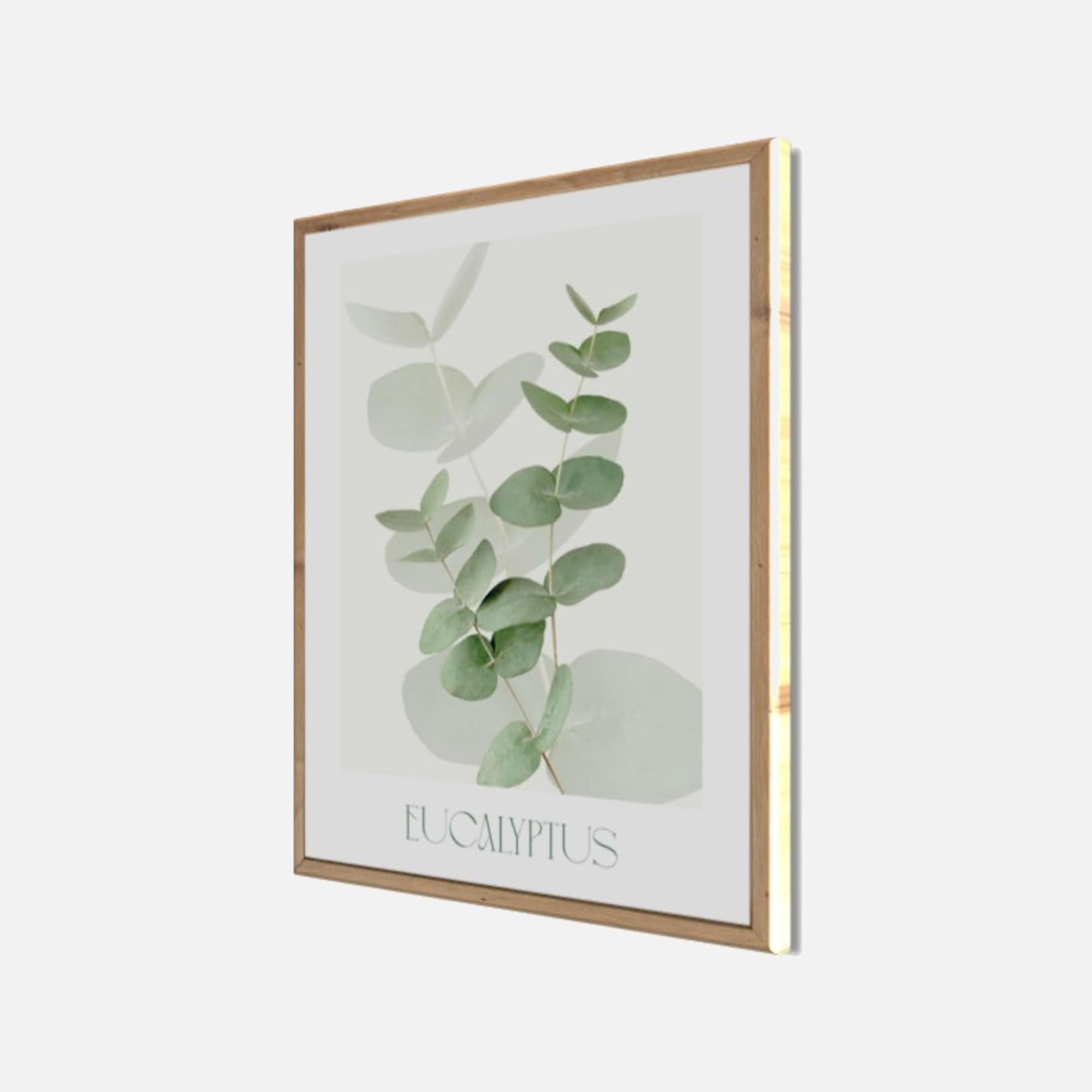 Bönninghoff Bild mit Rahmen »Wandbild gerahmt EUCALYPTUS 40x50 cm – Botanik Wanddeko Boho Scandi« Blätter | Pflanzen 1 Stk. tlg. mit dekorativem Rahmen