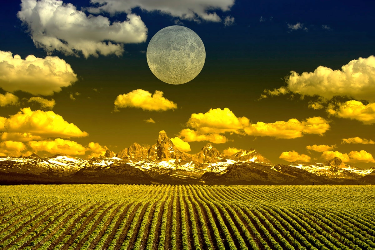 Fototapete »Felder mit Mond«