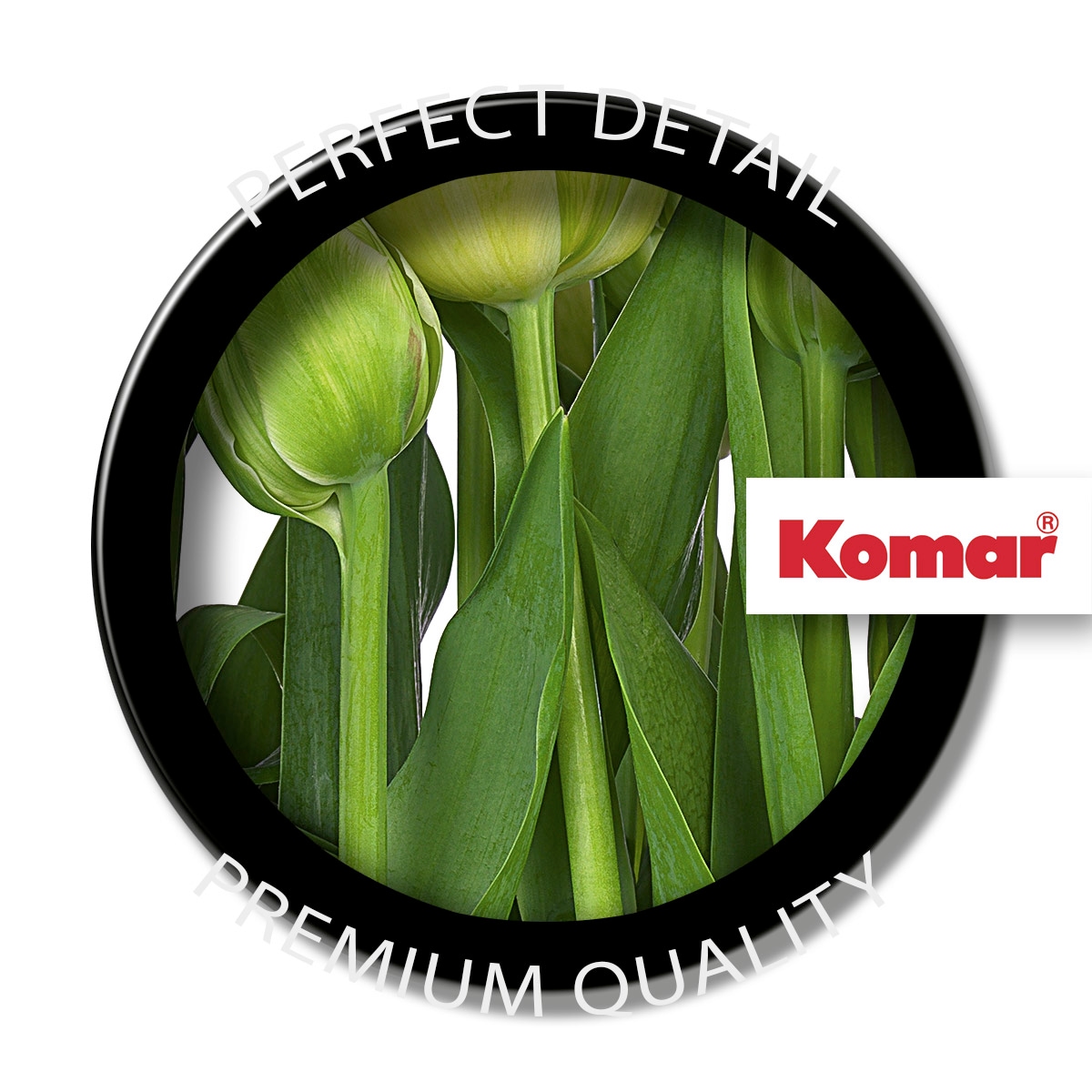 Komar Fototapete »Papier Fototapete - Tulips - Grösse 368 x 254 cm« Motiv | bedruckt glatt