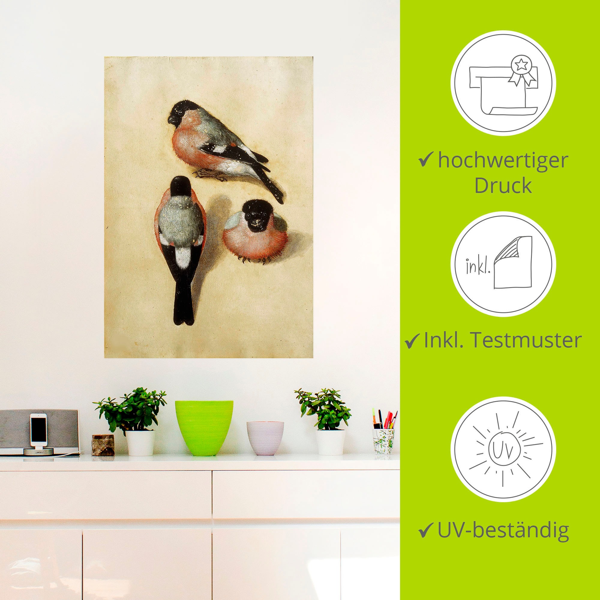 Artland Alu-Dibond-Druck »Vogel in drei Positionen.1520«, Vogelbilder, (1 St.), für Innen- und Aussenbereich geeignet, Outdoorbild