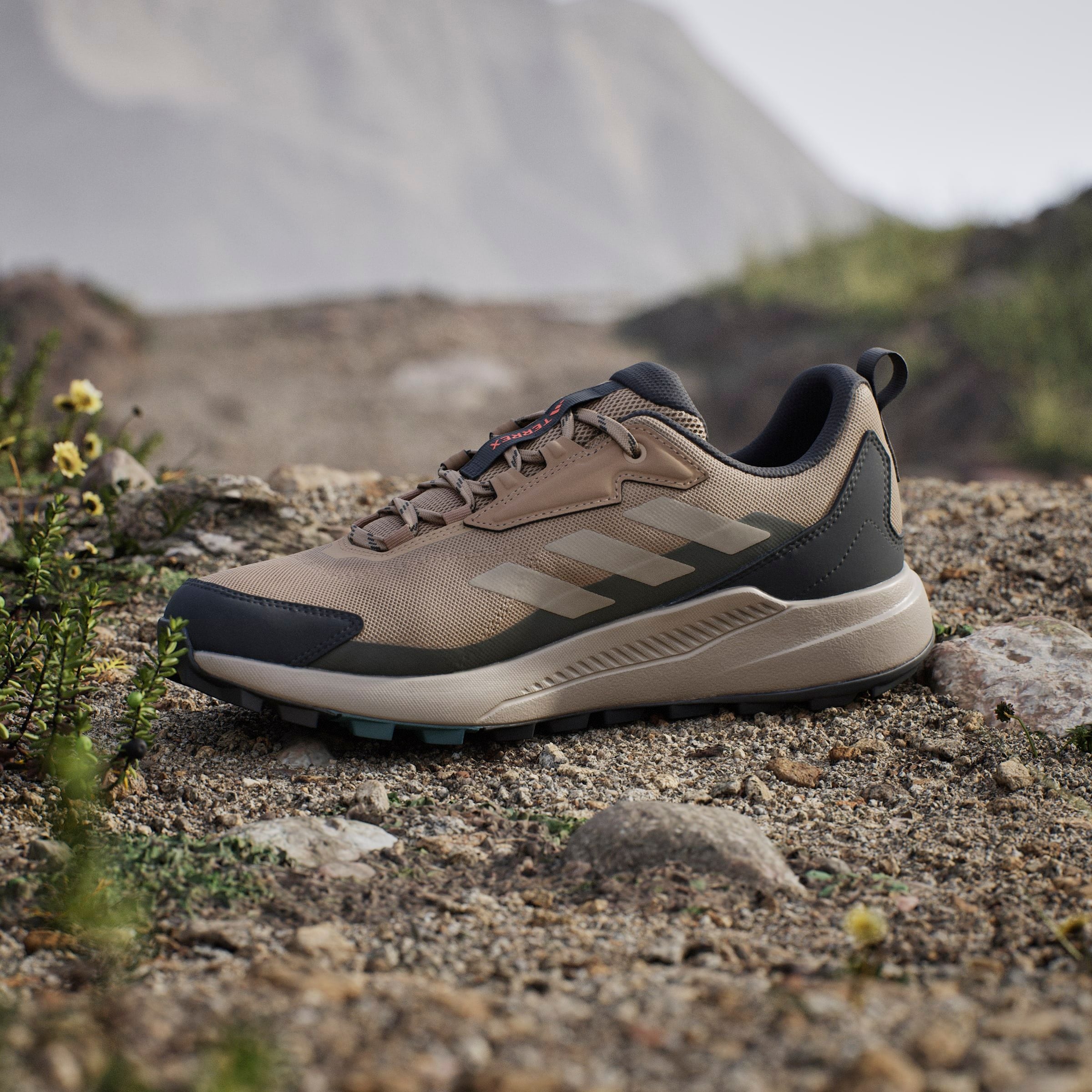 adidas TERREX Wanderschuh »TERREX ANYLANDER«