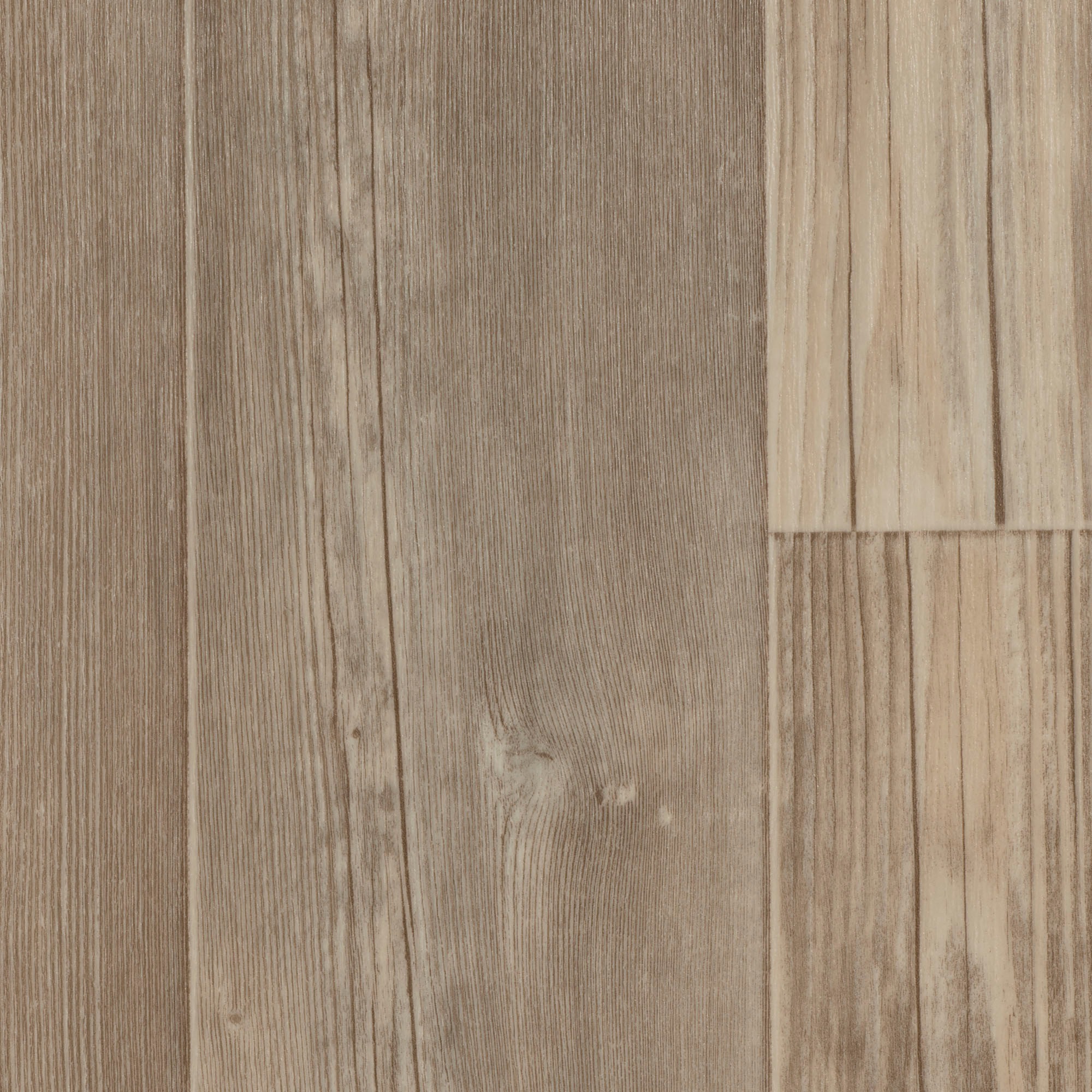 Image of Bodenmeister Vinylboden »PVC Bodenbelag Holzoptik Diele Pinie creme weiss«, Meterware, Breite 200/300/400 cm bei Ackermann Versand Schweiz