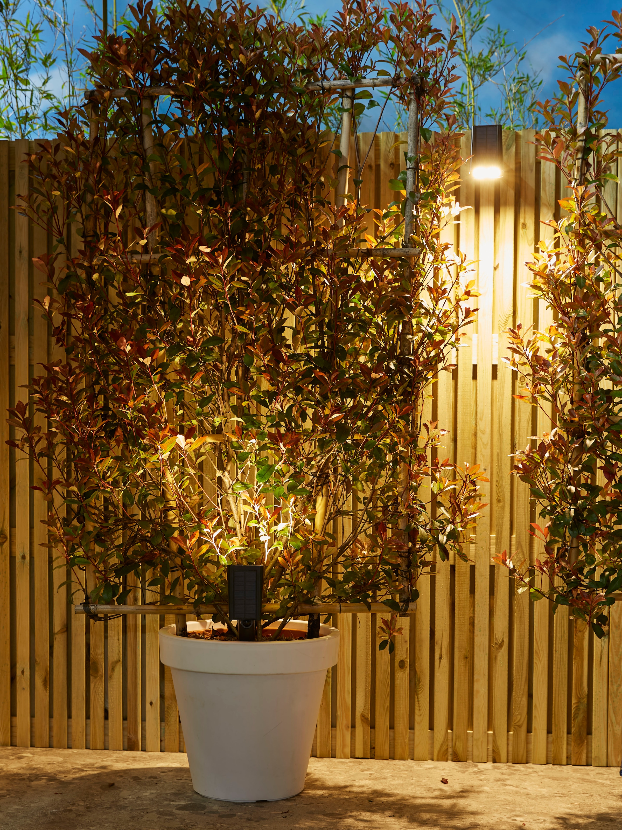 LUXFORM Gartenstrahler »Solar-Intelligente - Erdspiessleuchte - Rosario LED« LED-Modul 1 Stk. Für den Aussenbereich geeignet IP33