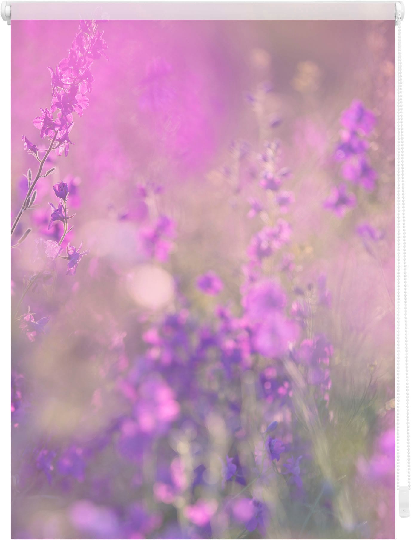 Image of LICHTBLICK ORIGINAL Seitenzugrollo "Klemmfix Motiv Blumenwiese" Lichtschutz ohne Bohren freihängend bedruckt