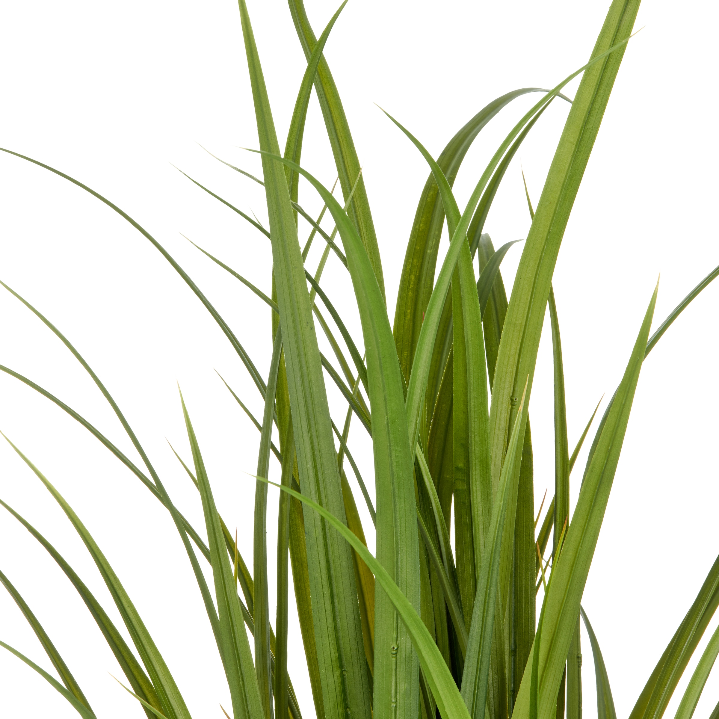 Creativ green Herbe artificielle »Grasbusch Miscanthus« im eleganten Topf