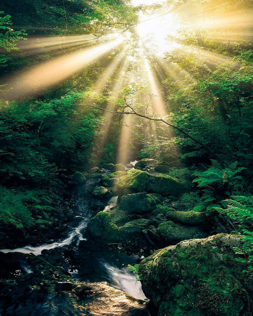 Image of Komar Vliestapete »Divine«, Strand bei Ackermann Versand Schweiz