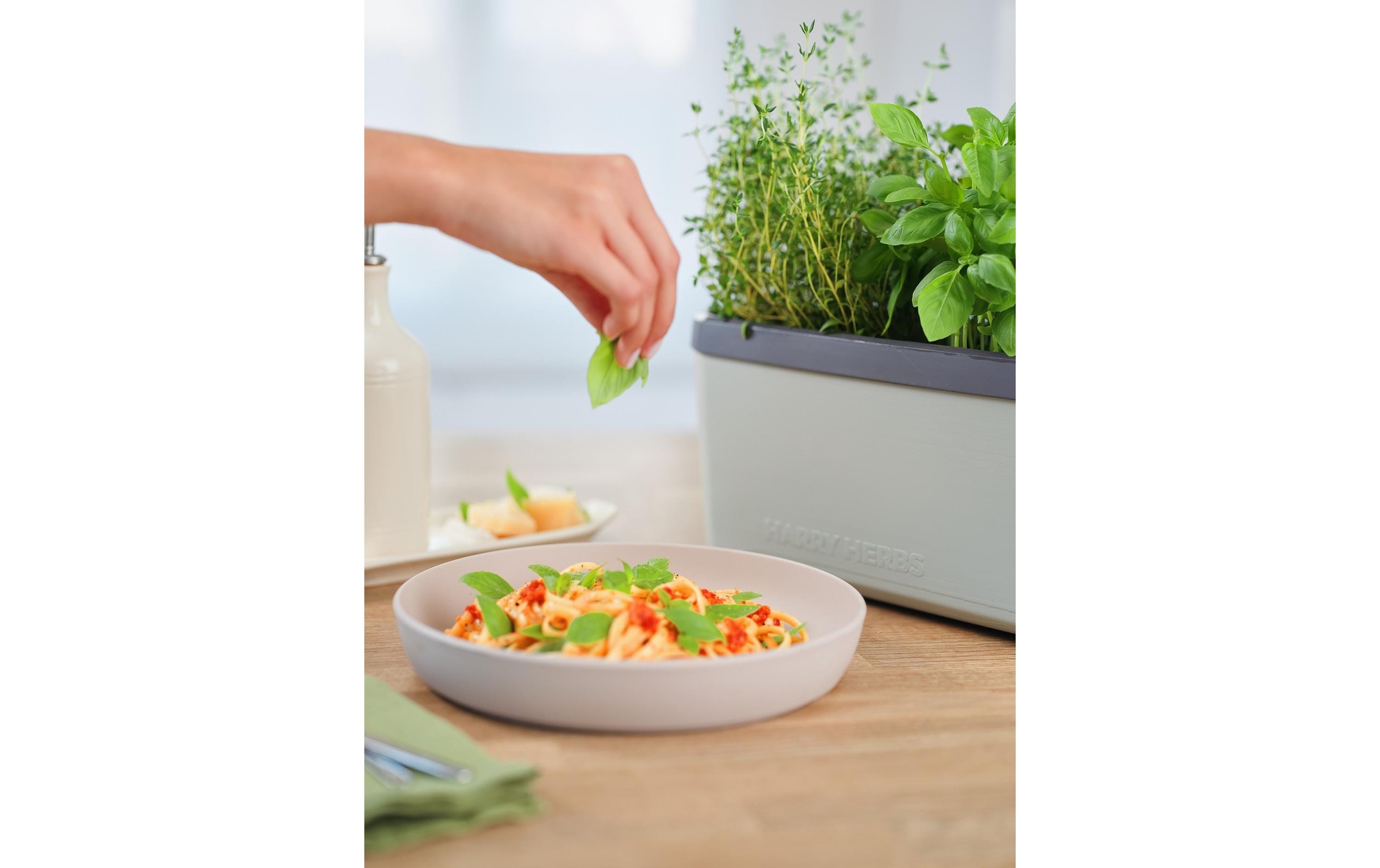 Gusta Garden Kräutertopf »HERBS hellgrau«