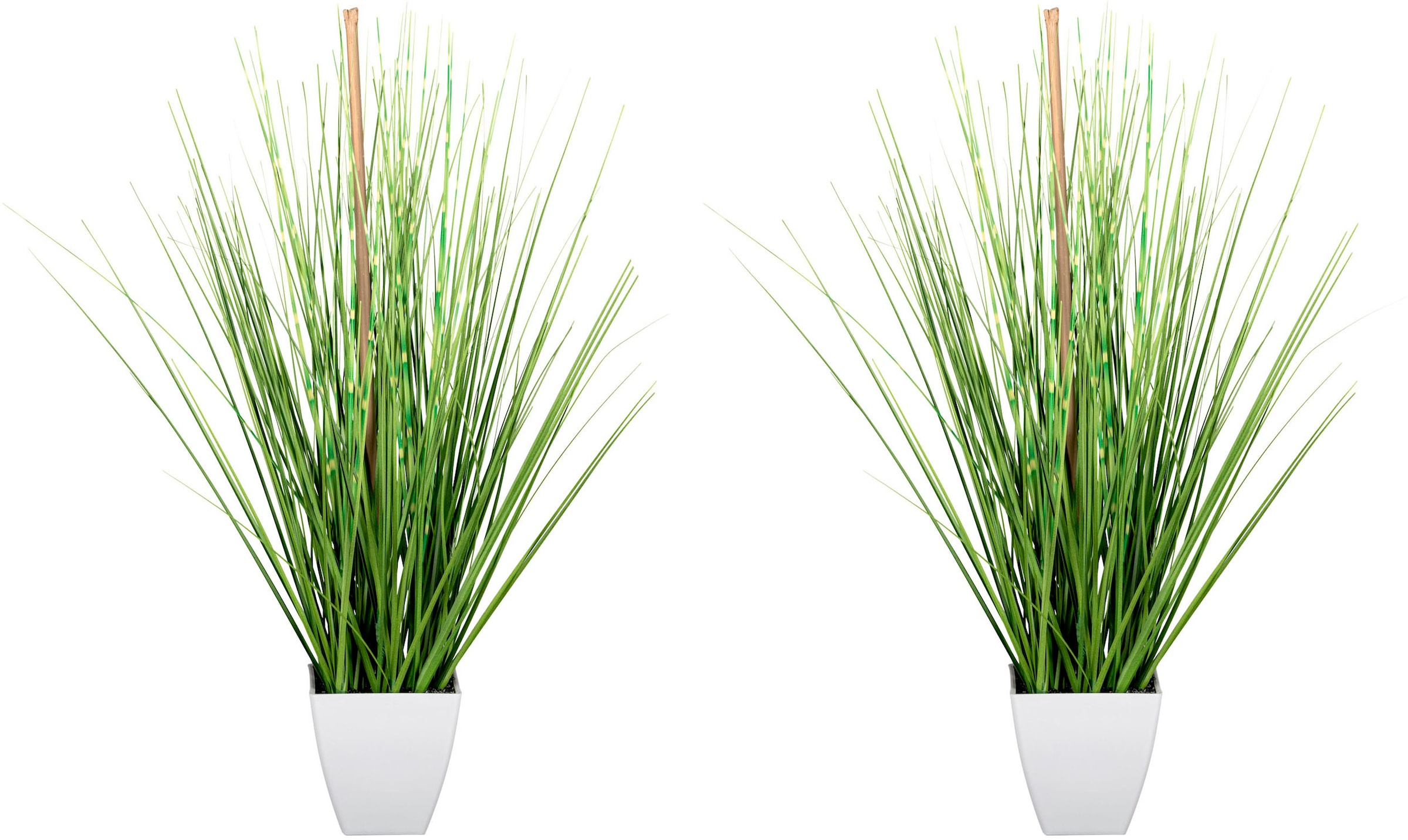 Creativ green Kunstgras »Grasbusch«, im weissen Topf