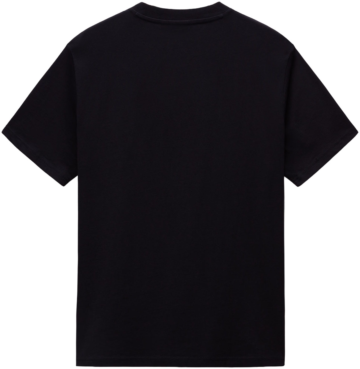 Napapijri T-Shirt »DRAPEAU«, mit Print, Rundhals, Jersey