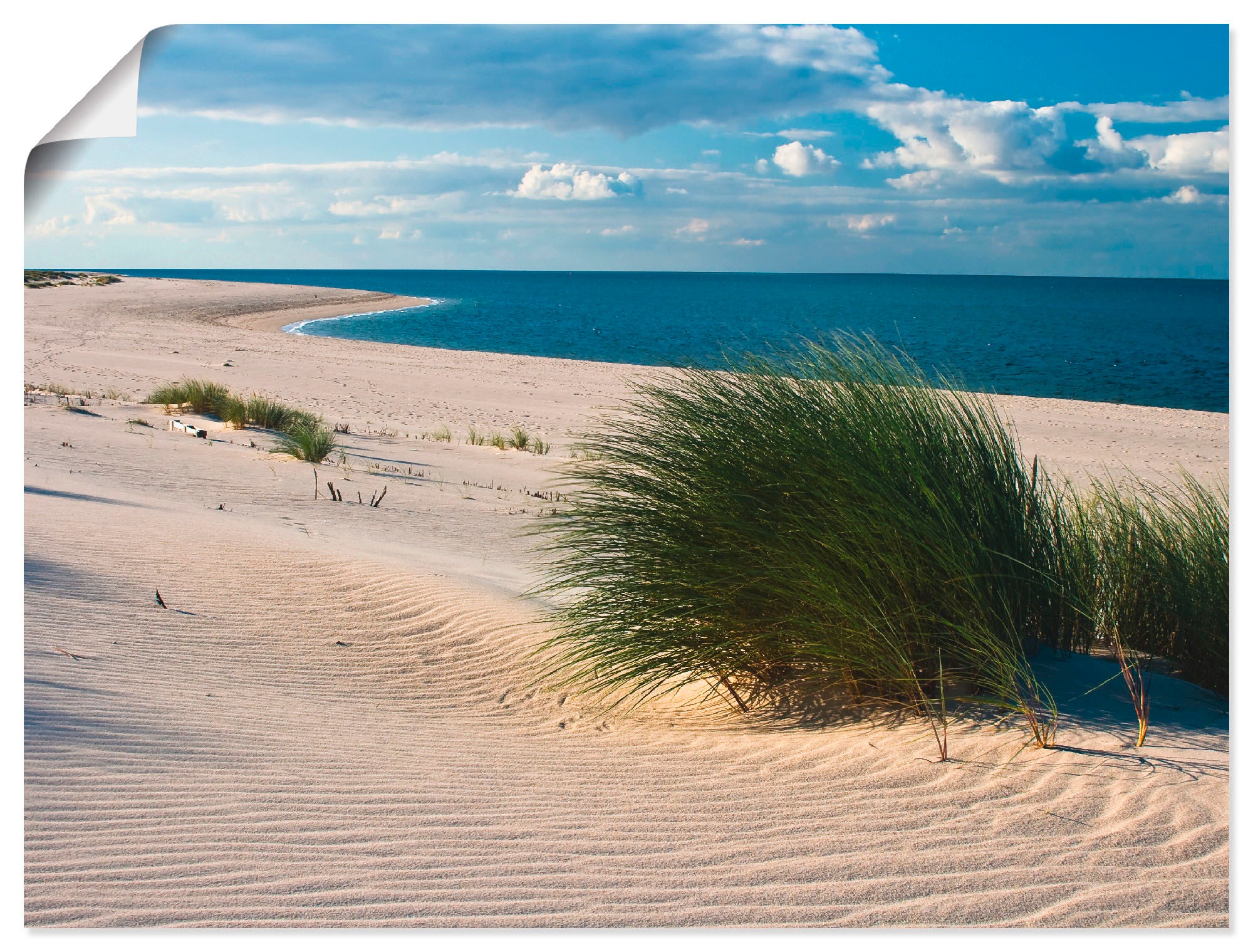 Image of Artland Wandbild »Gras am Strand«, Strand, (1 St.), in vielen Grössen & Produktarten - Alubild / Outdoorbild für den Aussenbereich, Leinwandbild, Poster, Wandaufkleber / Wandtattoo auch für Badezimmer geeignet bei Ackermann Versand Schweiz