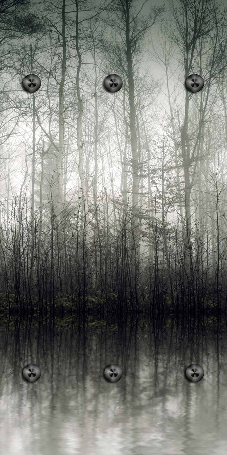 Image of queence Wandgarderobe "Nebeliger Wald" 1 Stk. tlg. Wandpaneel aus Acrylglas inkl. 6 Edelstahlhaken in schwarz matt
