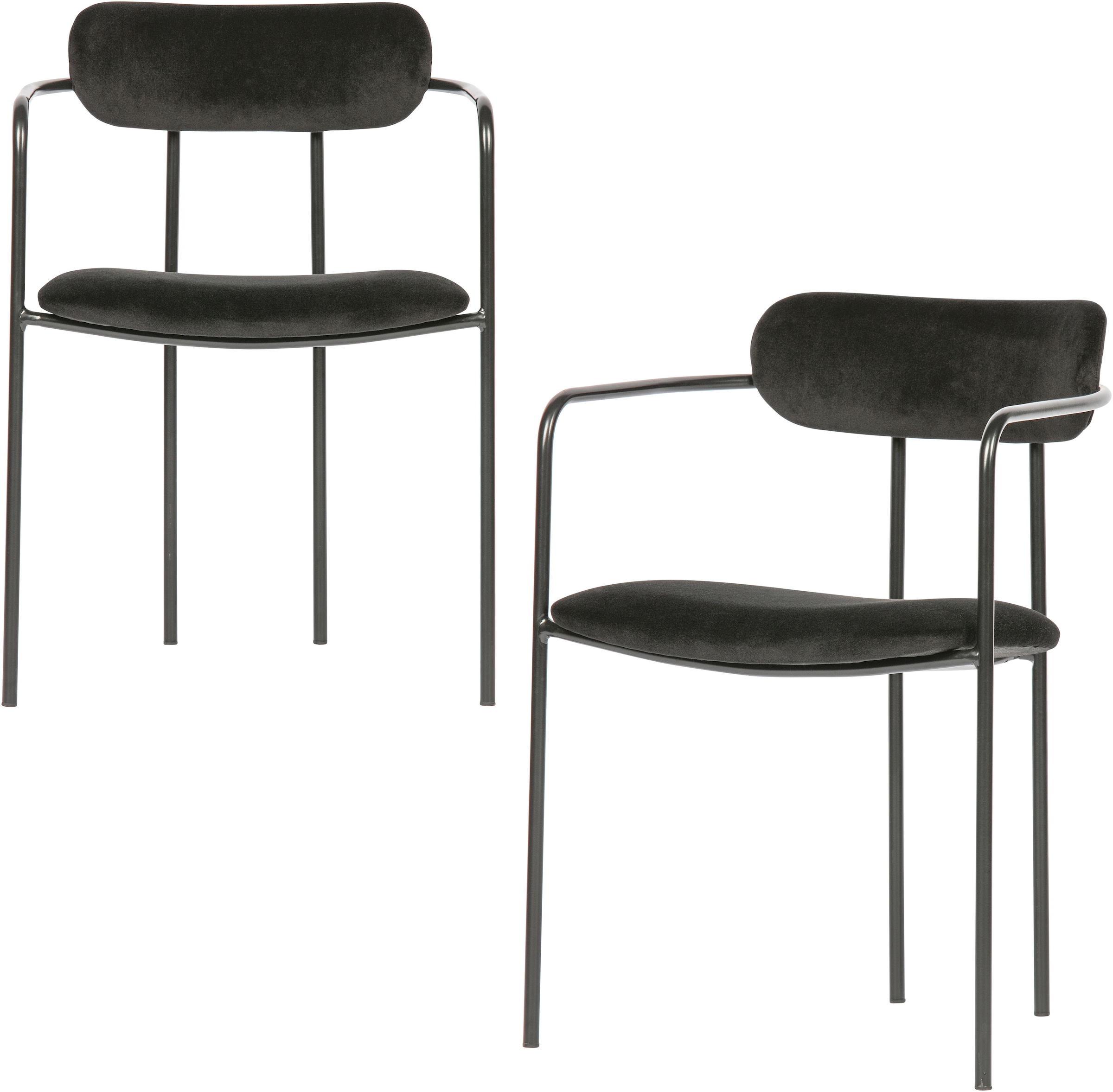 Image of WOOOD Esszimmerstuhl "Ivy stapelbar mit Velvet-Bezug und Eisengestell B 55 x T 54 x H 76 cm" (Set) 2 Stk.Tragkraft 150 kg, Eisengestell, Pfleiglicht