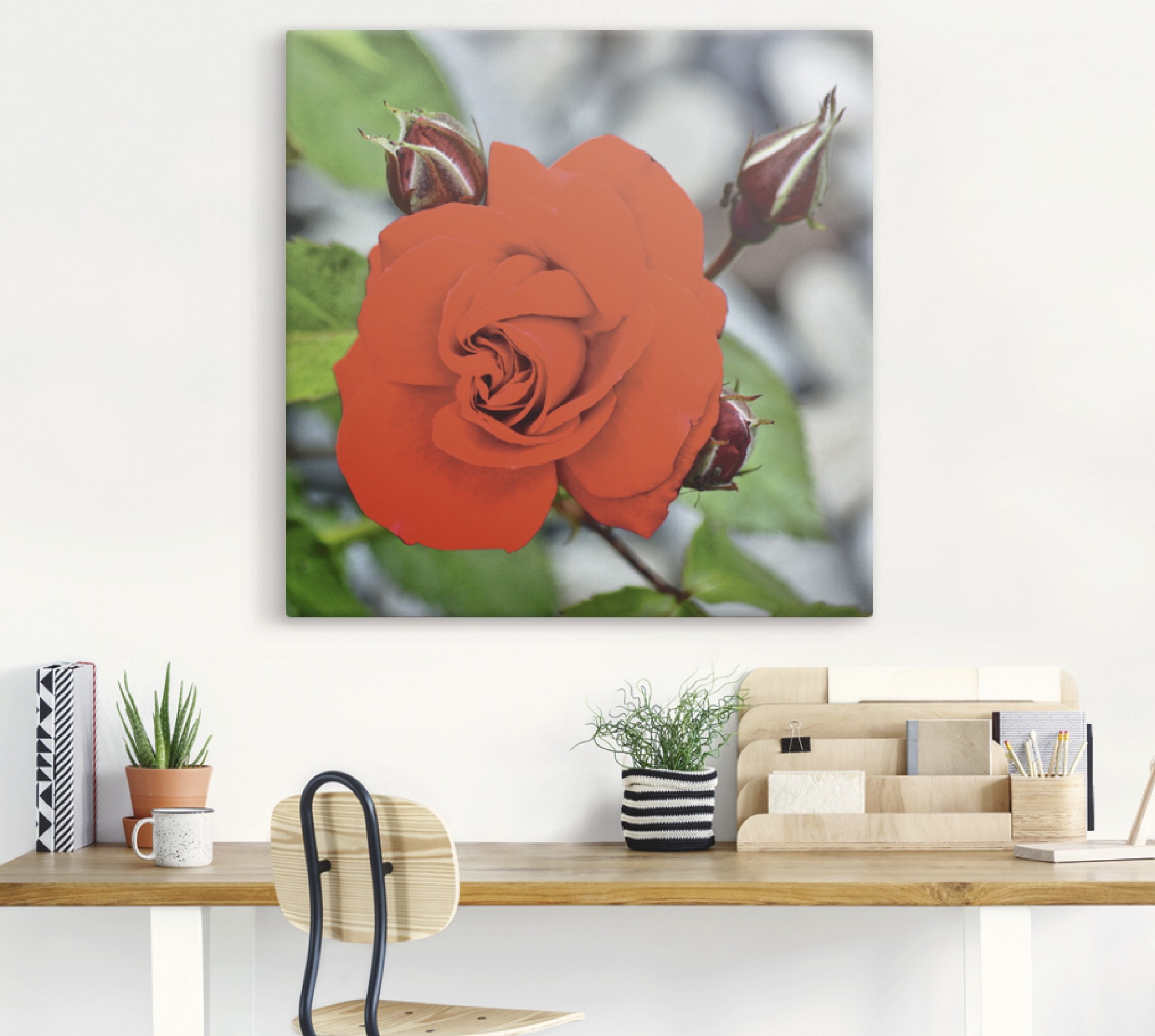 Artland Wandbild »Rote Rosenblüte mit Knospen«, Blumen, (1 St.), als Leinwandbild, Wandaufkleber in verschied. Grössen