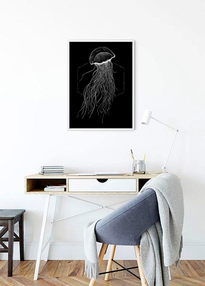 Image of Komar Bild "Jellyfish Black" Tiere 1 Stk. tlg. Wandbild zur Dekoration - ohne Rahmen