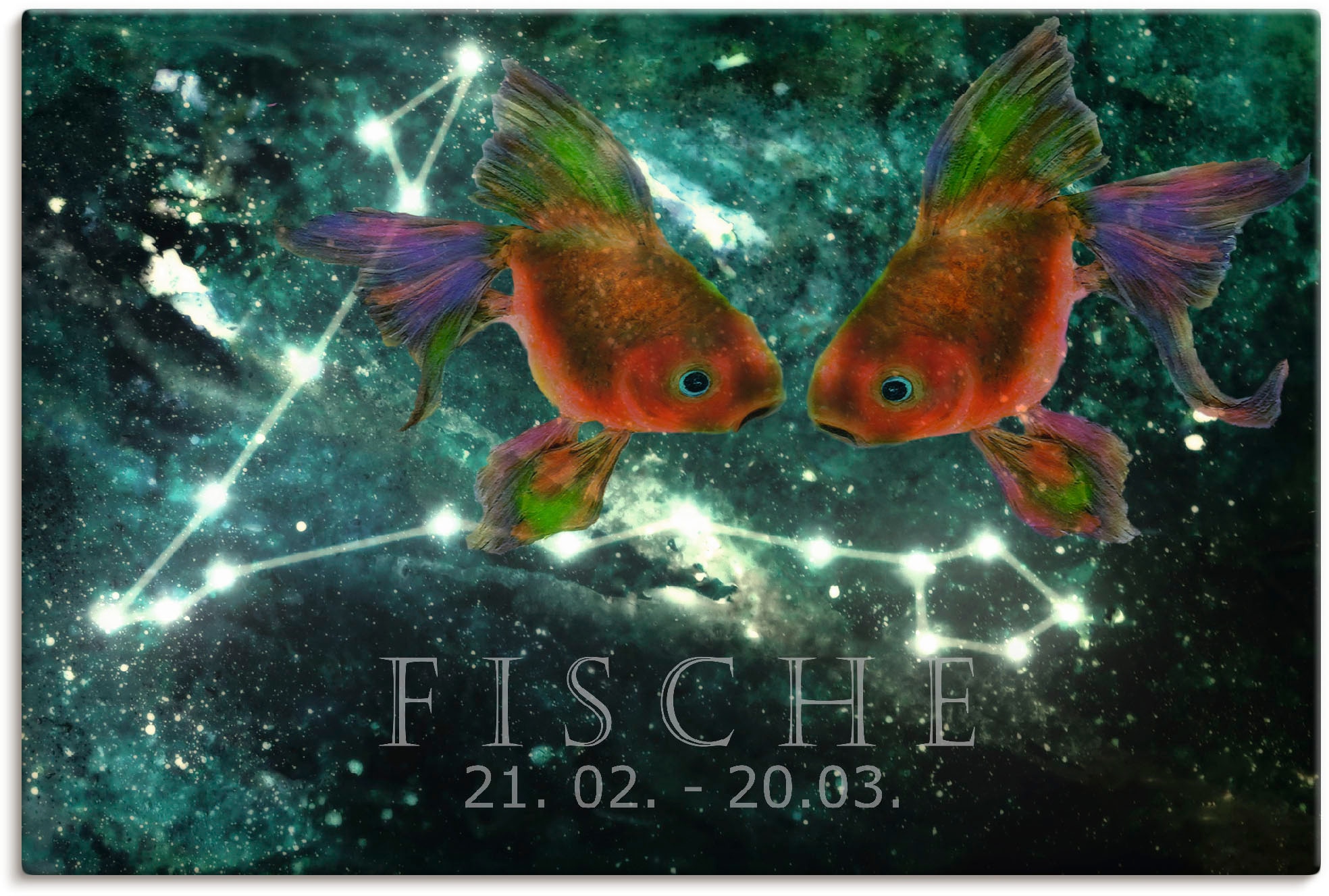 Image of Artland Leinwandbild "Sternzeichen - Fische" Bilder von Sternzeichen 1 Stk. tlg. auf Holzrahmen gespannt