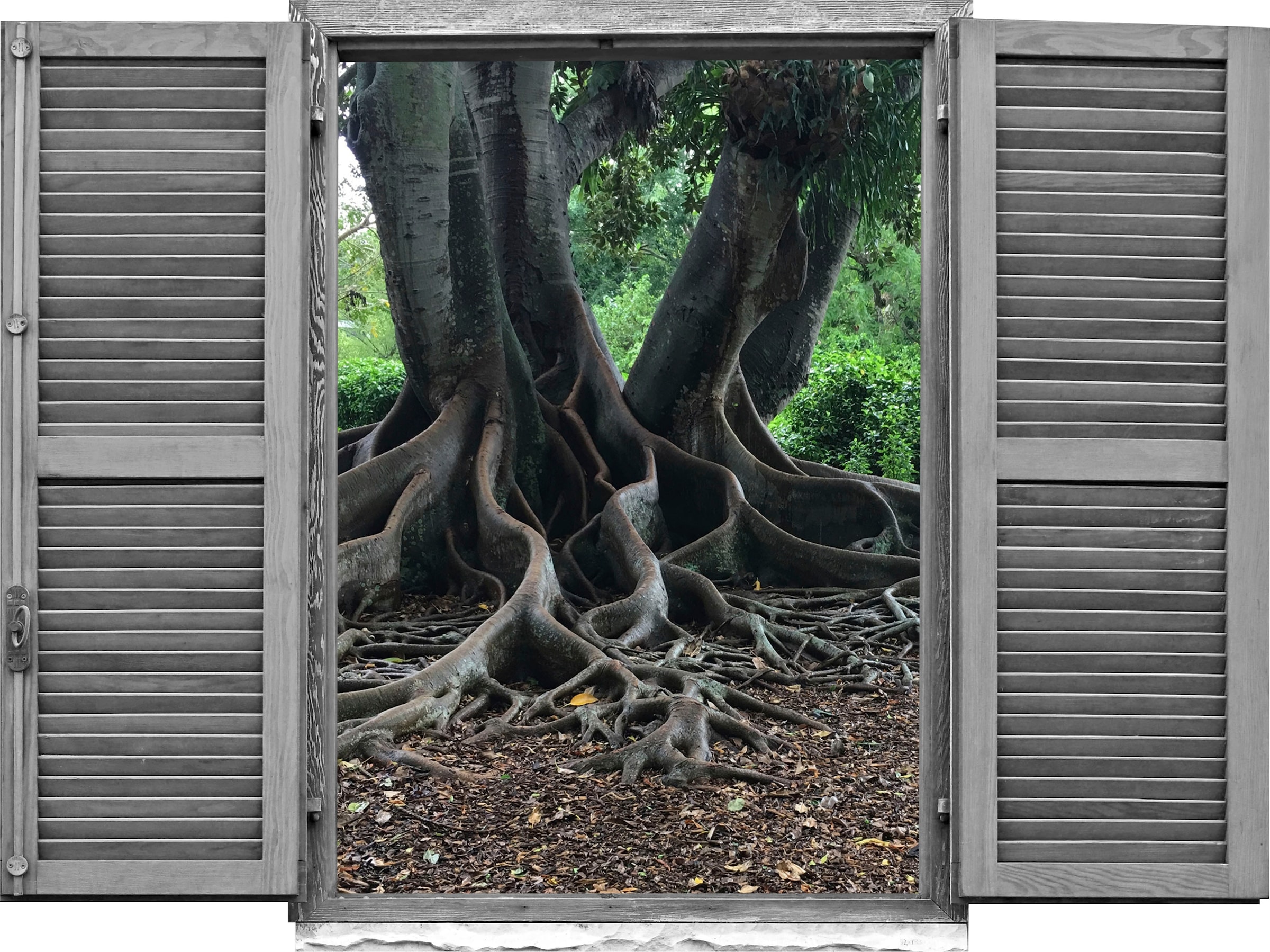 Image of queence Wandtattoo "Baumwurzeln" Wandsticker, Wandbild, selbstklebend, 3D, Fenster
