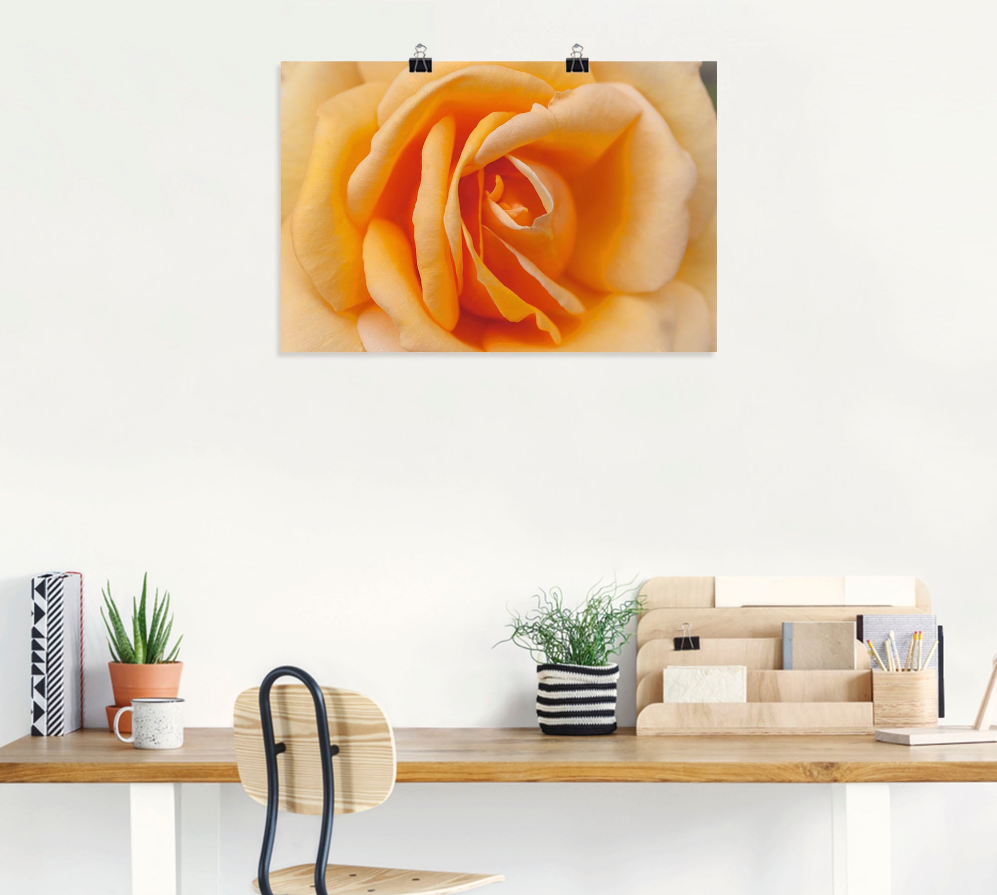 Artland Wandbild »Zarte kaufen St.), in günstig versch. in Poster Rose Grössen Blumenbilder, Alubild, Wandaufkleber (1 als Orange«, oder Leinwandbild