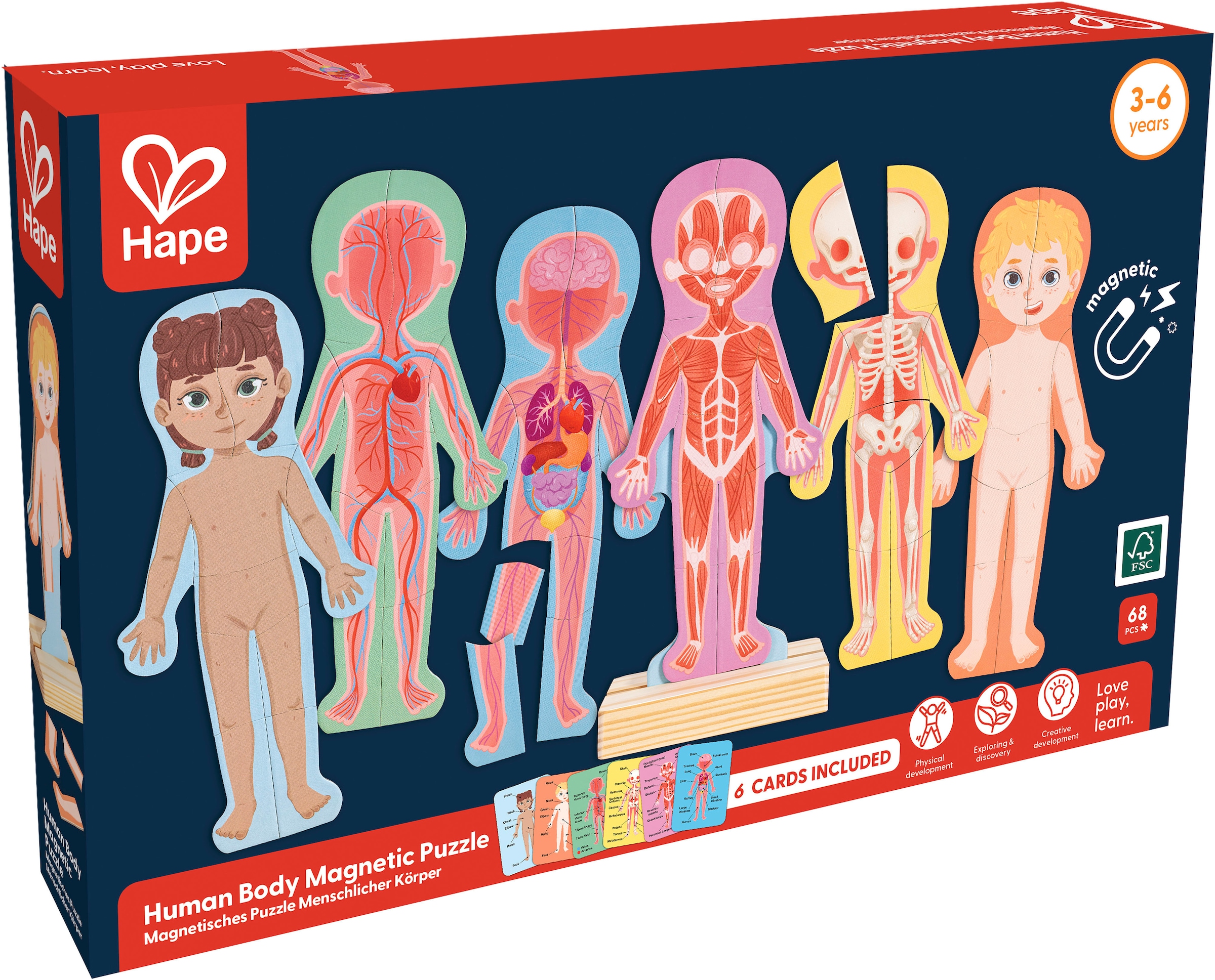 Hape Puzzle de contours »Menschlicher Körper«