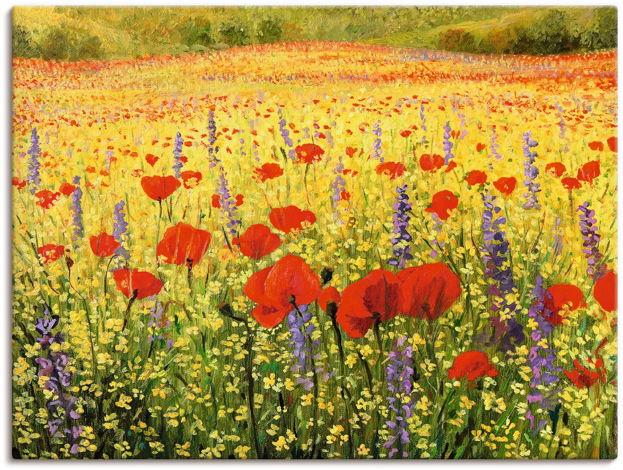 Image of Artland Leinwandbild "Mohnblumenfeld" Felder 1 Stk. tlg. auf Holzrahmen gespannt