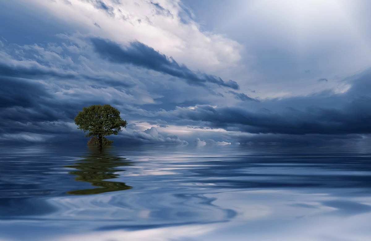 Image of Papermoon Fototapete "MEER WOLKEN-BAUM BEACH STRAND PANORAMA HIMMEL WELLEN"