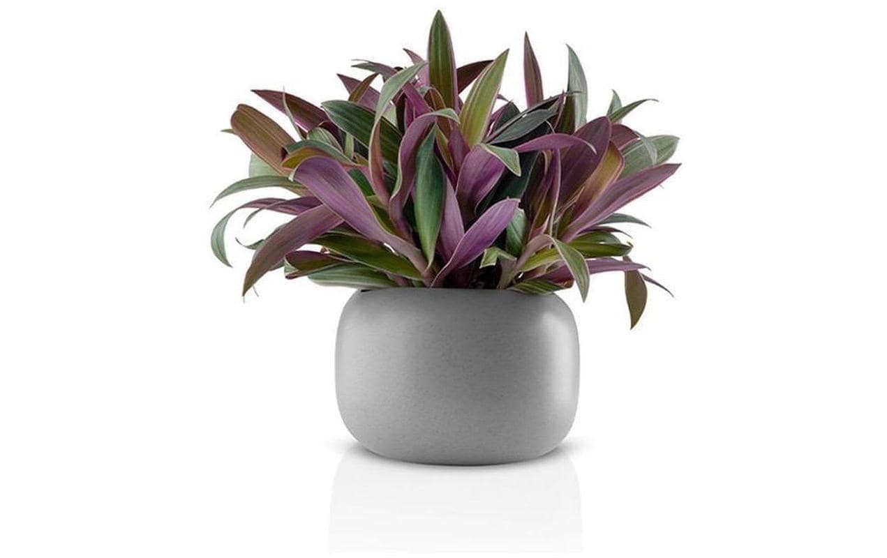 Eva Solo Blumentopf »Stone Grau«