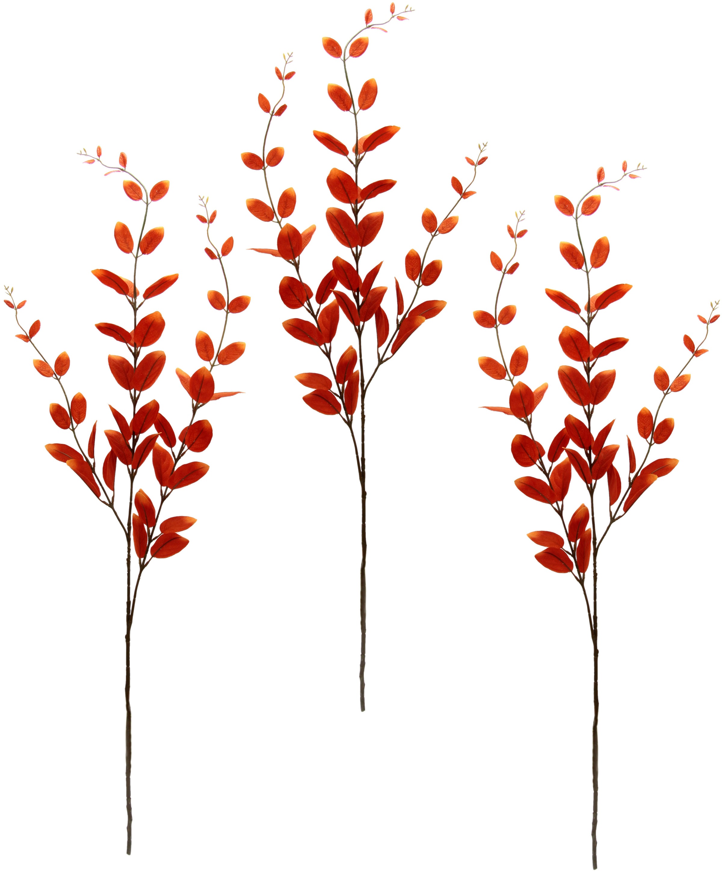 Image of I.GE.A. Kunstzweig »Eukalyptus«, (3 St.), Dekozweig bei Ackermann Versand Schweiz