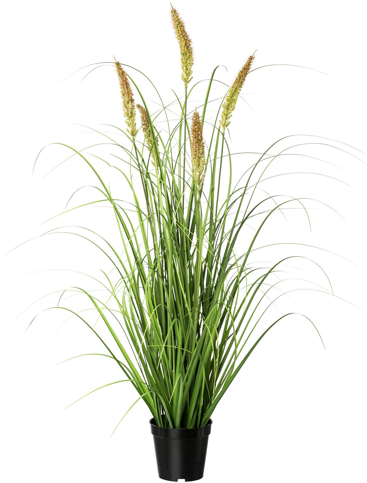 Image of Creativ green Kunstgras »Penisetum-Gras«, (1 St.) bei Ackermann Versand Schweiz