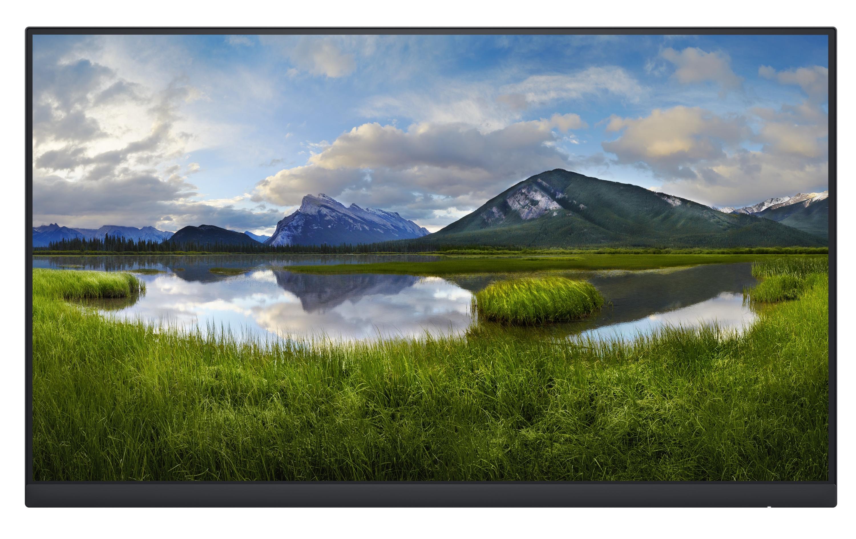 LED-Monitor »P2422H ohne Standfuss«, 60,45 cm/23,8 Zoll, 1920 x 1080 px, 60 Hz