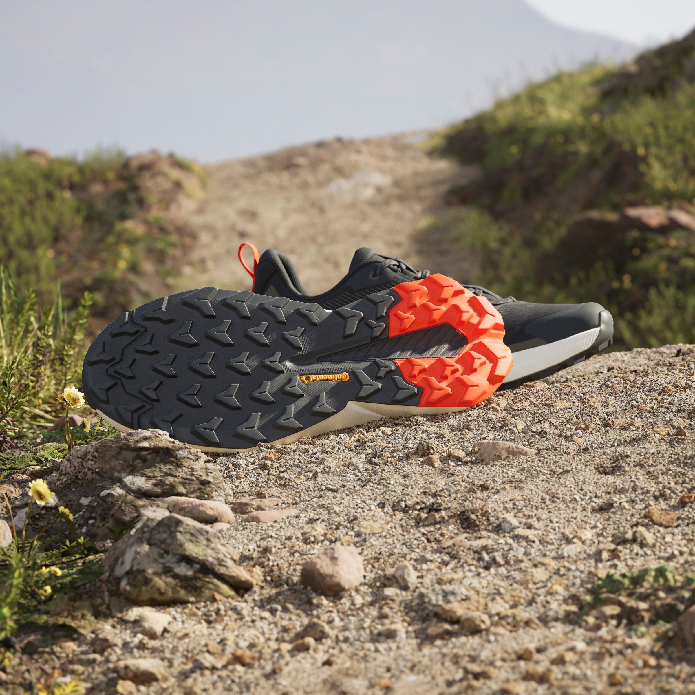 adidas TERREX Wanderschuh »TRAILMAKER 2«