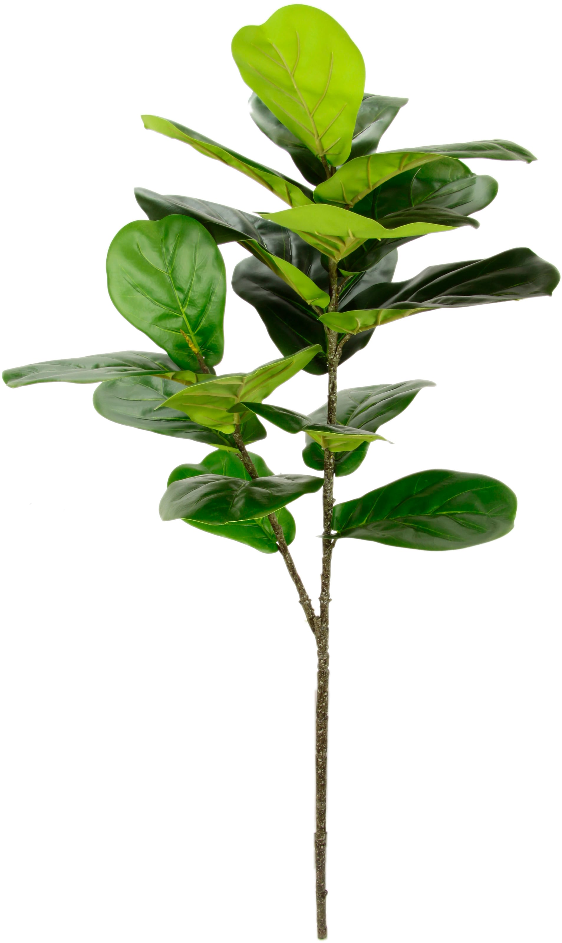 I.GE.A. Kunstblume »Feigenblattzweig«