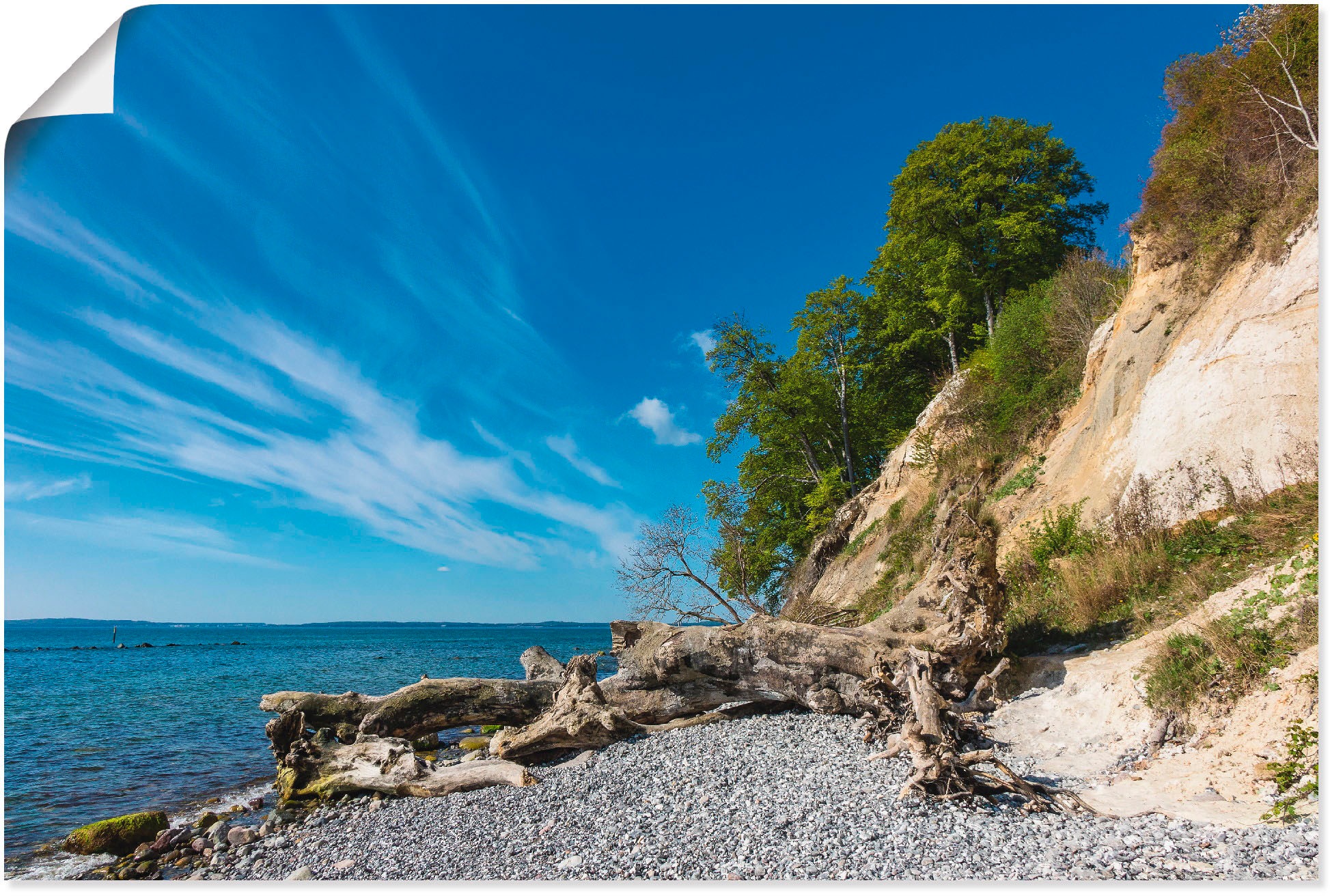 Image of Artland Wandbild »Kreidefelsen auf der Insel Rügen II«, Küste, (1 St.), in vielen Grössen & Produktarten - Alubild / Outdoorbild für den Aussenbereich, Leinwandbild, Poster, Wandaufkleber / Wandtattoo auch für Badezimmer geeignet bei Ackermann Versand Sch