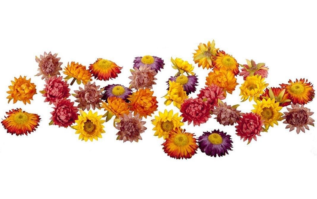Image of Kunstblume "Kunstblume Strohblüten"