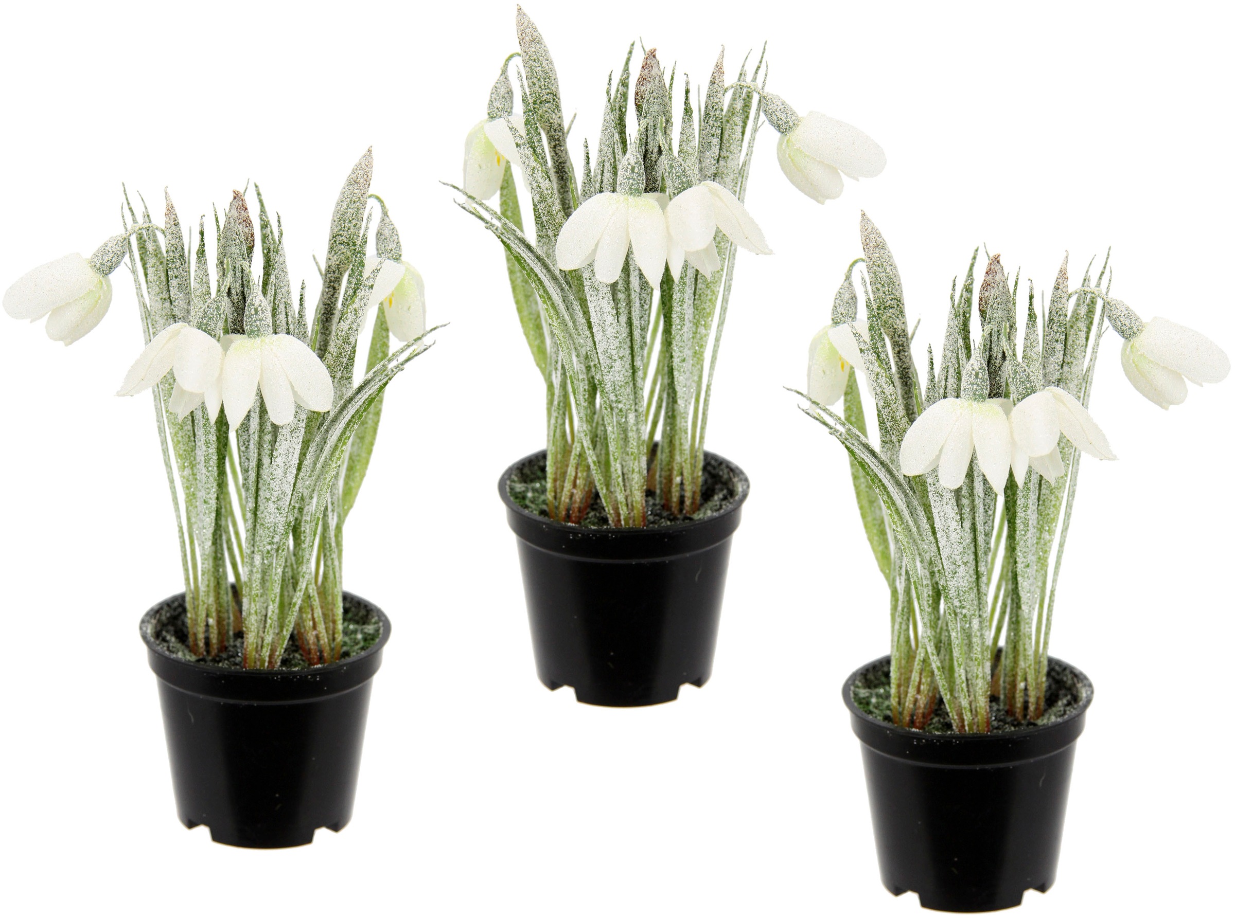 Image of I.GE.A. Kunstpflanze »Schneeglöckchen«, (3 St.), Geeist, im Topf, 3er Set Kunstblume Künstliche Frühjahrsblüher Blüten Osterblumen Osterdeko Osterglocken Topfpflanzen Frühlingshafte Kunstpflanzen Mittelstücke Tischdeko bei Ackermann Versand Schweiz