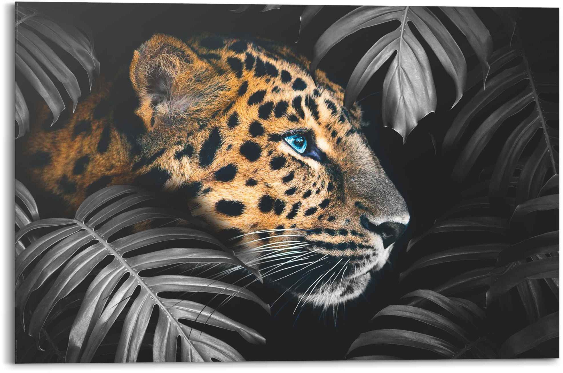 Image of Reinders Wandbild "Wandbild Leopard Jungle - Pflanze - Tiermotiv" Leopard 1 Stk. tlg.