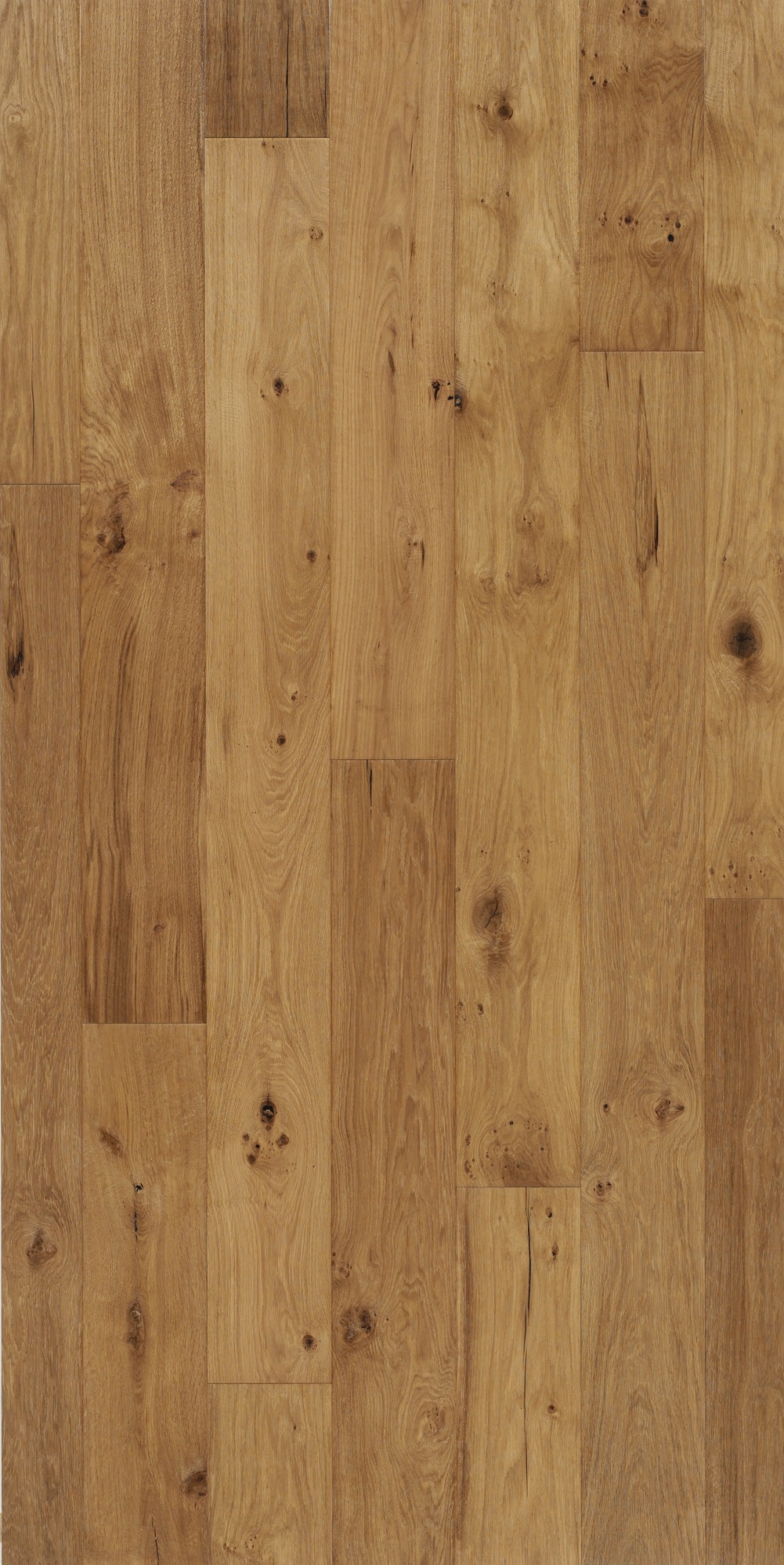 Image of PARADOR Parkett »Trendtime 8 Classic - Eiche«, (Packung), Klicksystem, 1882 x 190 mm, Stärke: 14 mm, 3,22 m² bei Ackermann Versand Schweiz