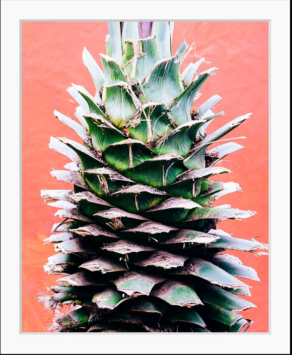 Image of queence Bild "Lassi" Essen Figuren Kunst Lebensmittel Obst Obst Bilder 1 Stk. tlg. HD Premium Poster-Druck inkl. Holzrahmen