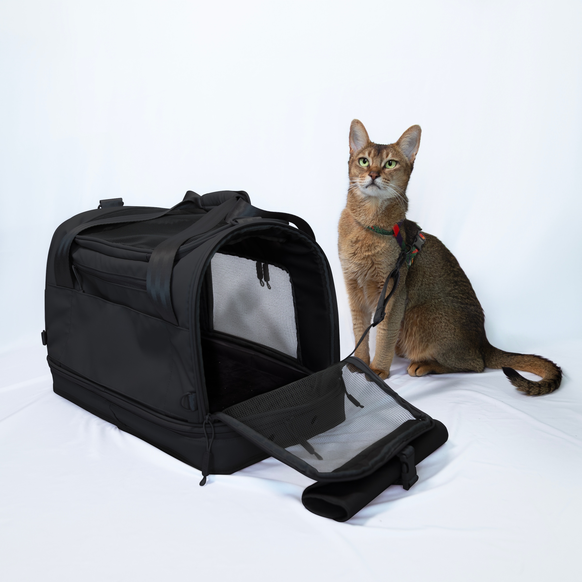 Heys Sac de transport pour animaux »Heys Pawsenger« valise pour animaux, sac de transport pour animaux, adapté pour bagage à main selon recommandations IATA